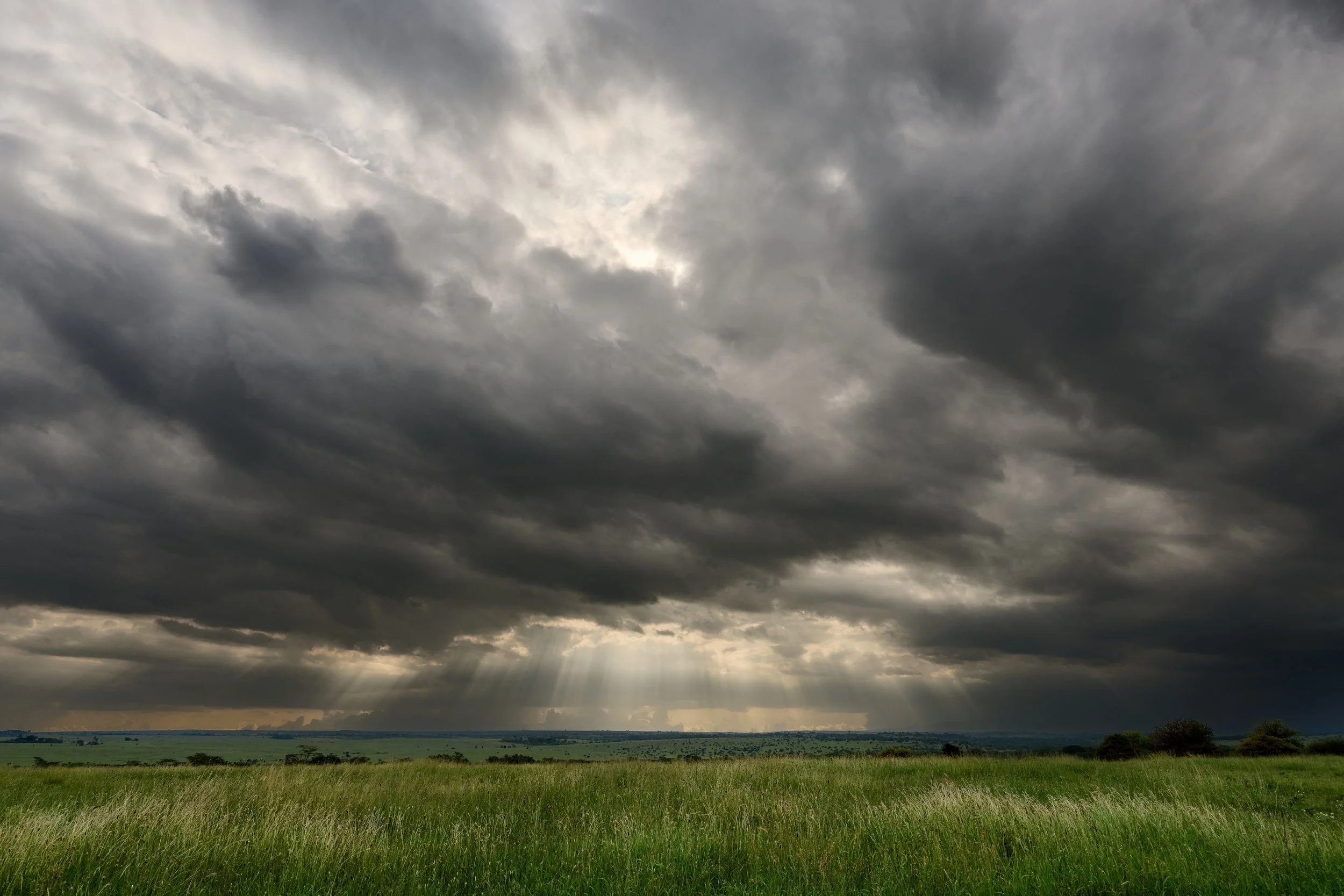 NNP 2024-01-04-0459-1-JPEG 100 Qality Full Size (sRGB)-CO20 copy.jpeg