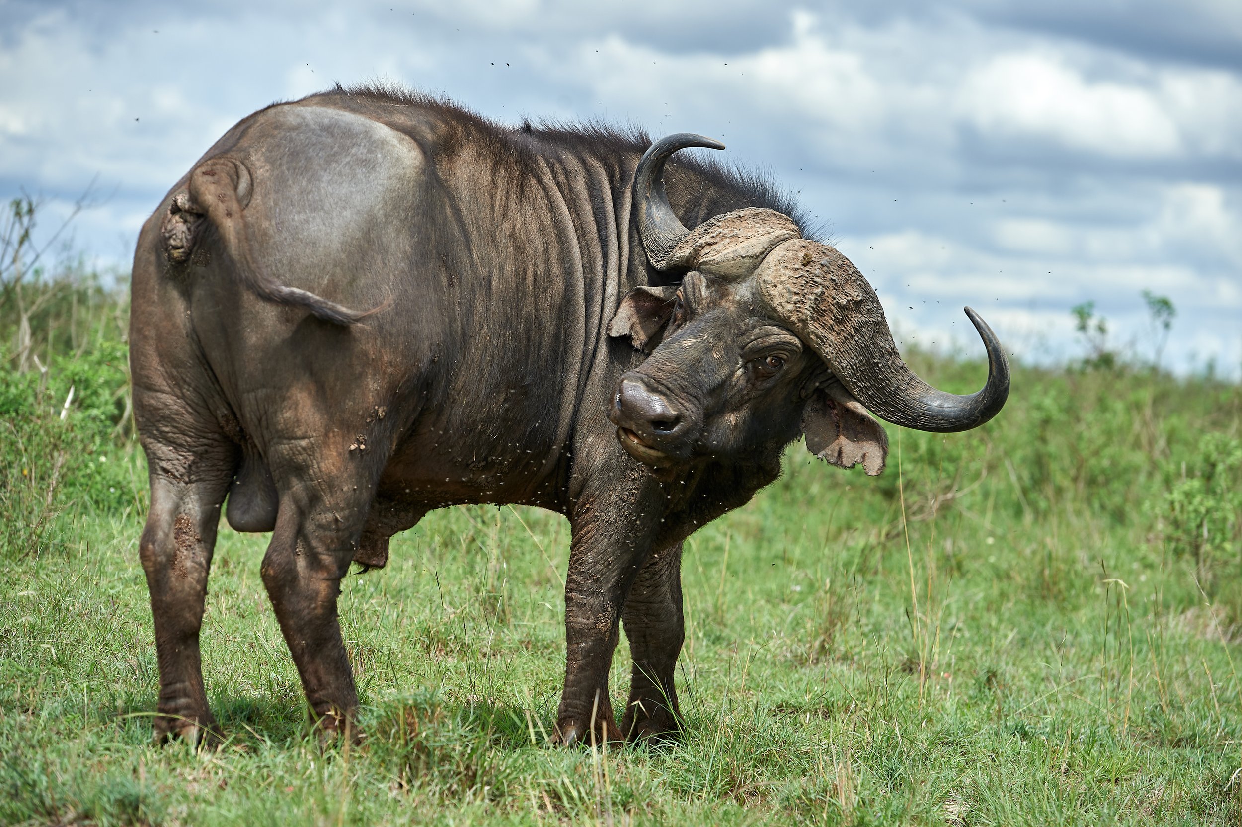 NNP - 11-02-17-0102-1-JPEG 100 Qality Full Size (sRGB).jpg