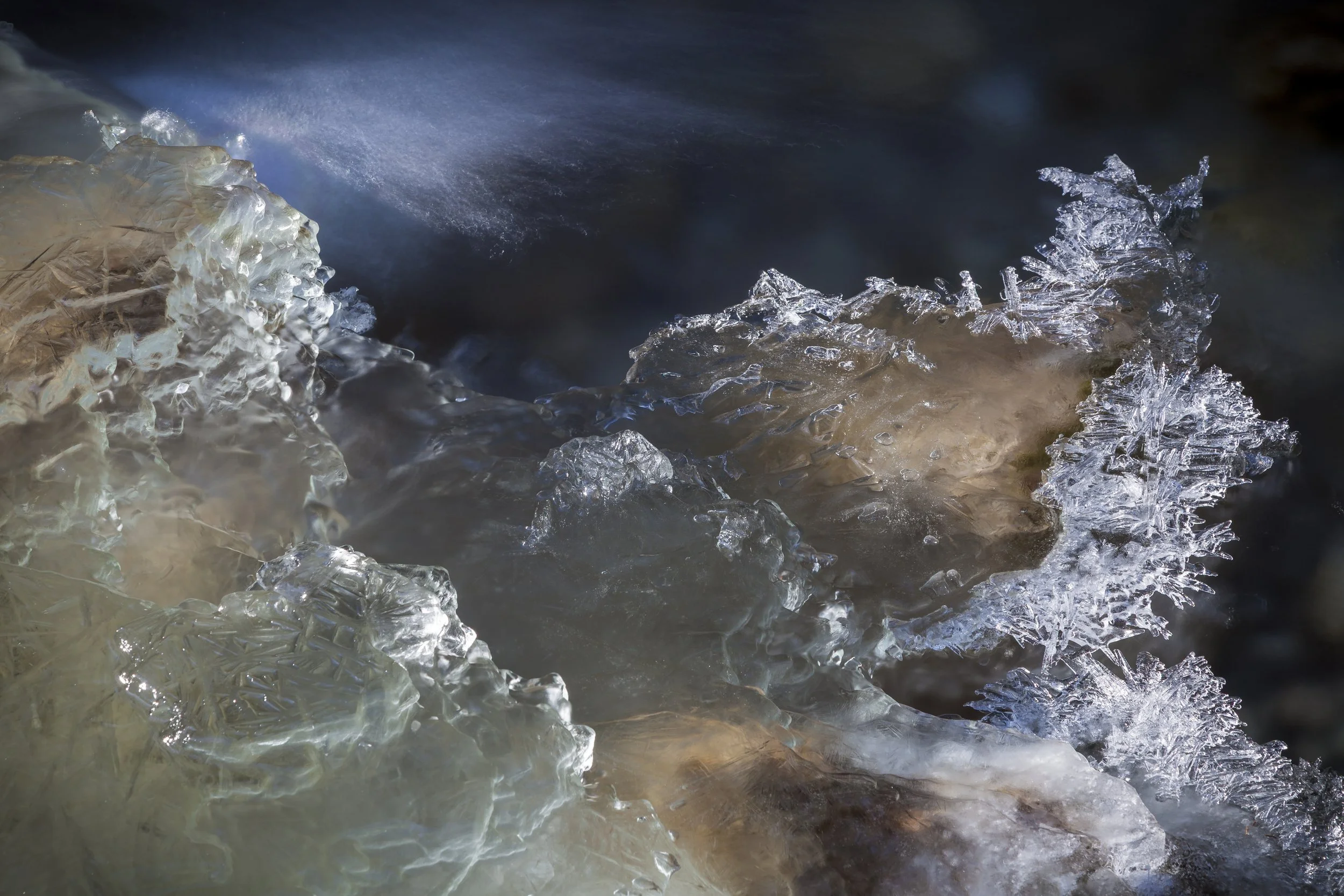 Stefanie Krammer begleitet Menschen in Trauerbegleitung und Lebensbegleitung in Rosenheim, Bayern und im Raum München. Mit Waldbaden, achtsamer Naturzeit und persönlicher Begleitung unterstützt sie Menschen in Zeiten von Verlust und Neuorientierung