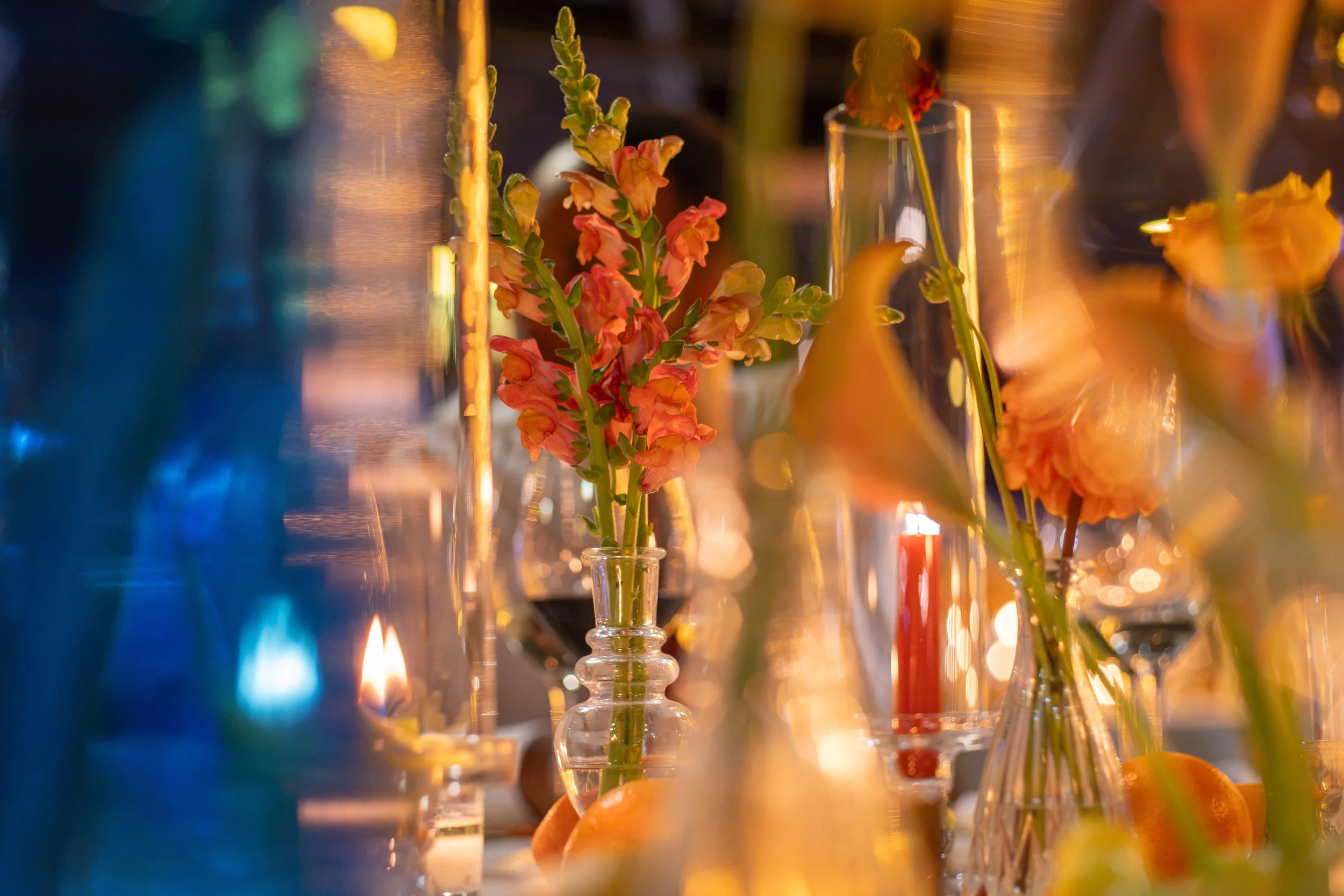 Various colorful flowers in vases, illuminated by warm light, with blurred background.