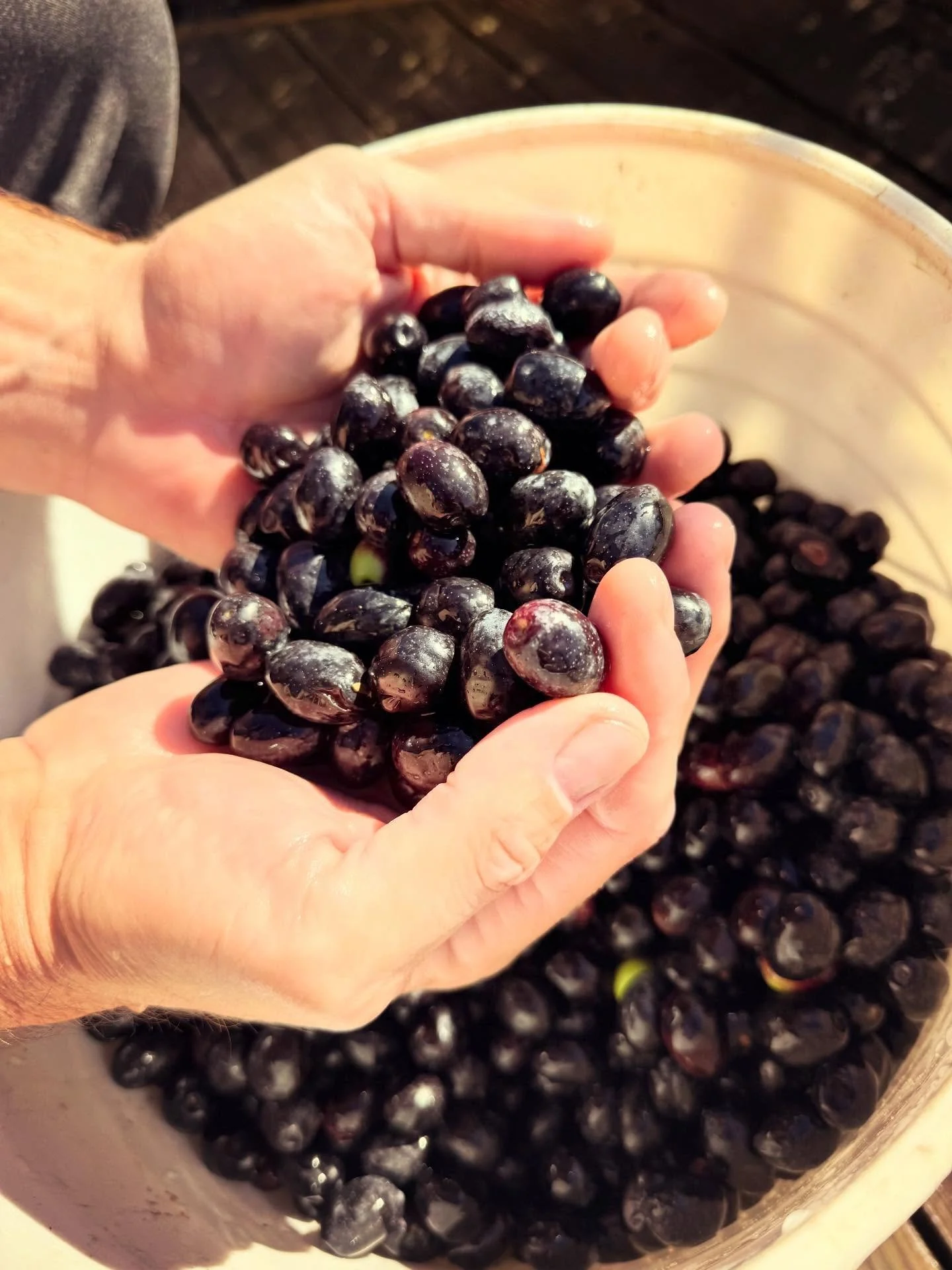 Giving thanks for another great harvest