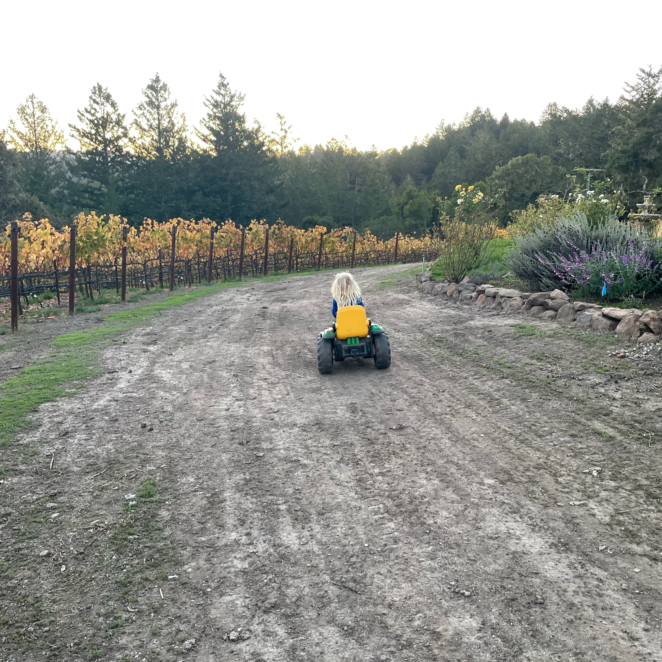 A child with blonde hair rides a yellow and green toy truck on a dirt path in a rural setting with trees and flowering plants.