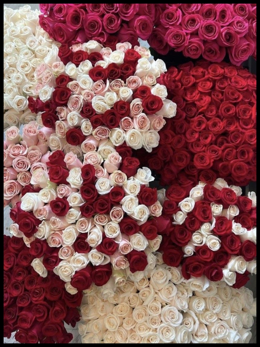 A large display of roses in white, pink, and red colors arranged in bouquets.