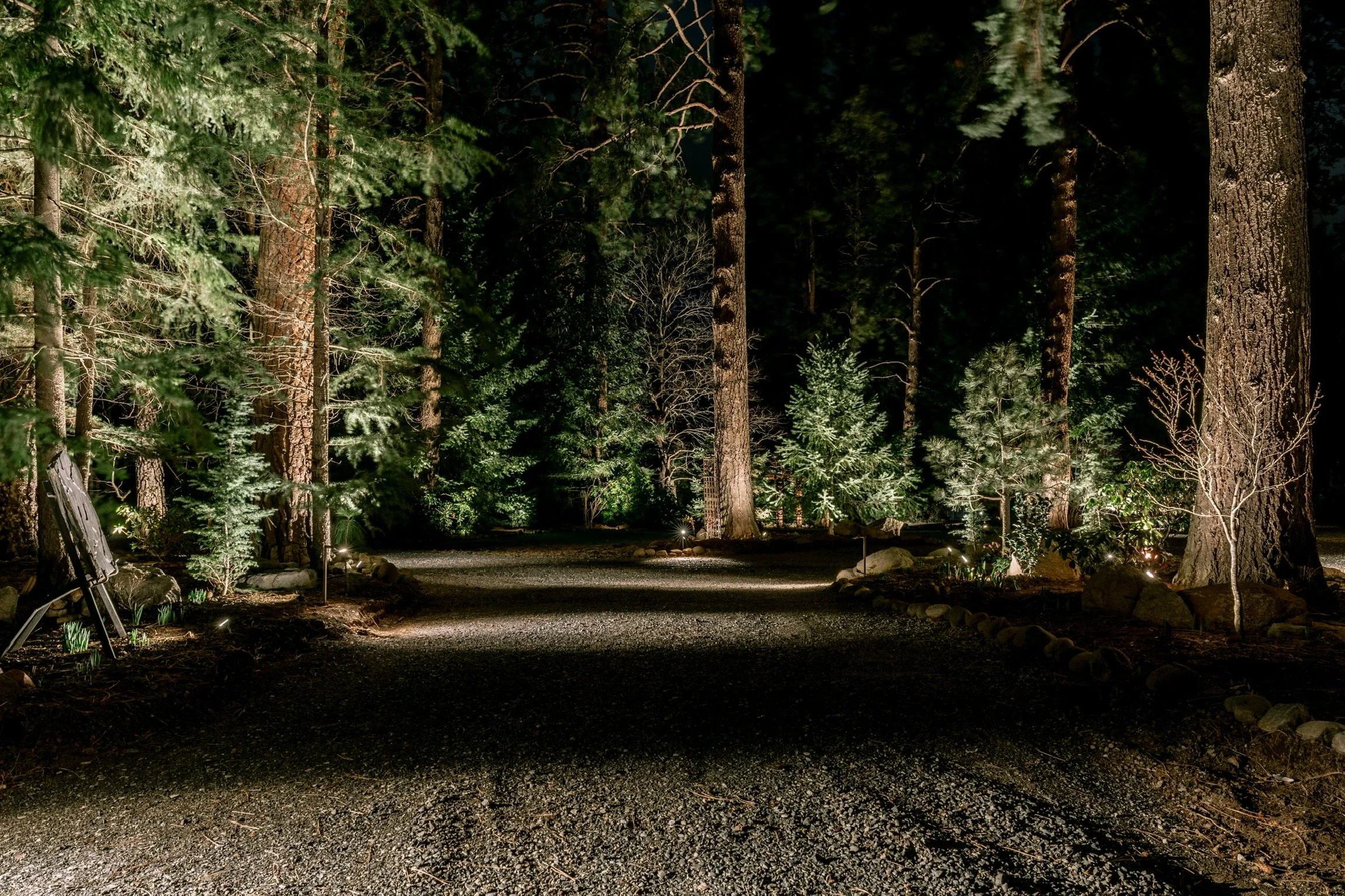 Nighttime view of a forest with trees illuminated by ground lights, showing a gravel pathway lined with rocks and small plants.