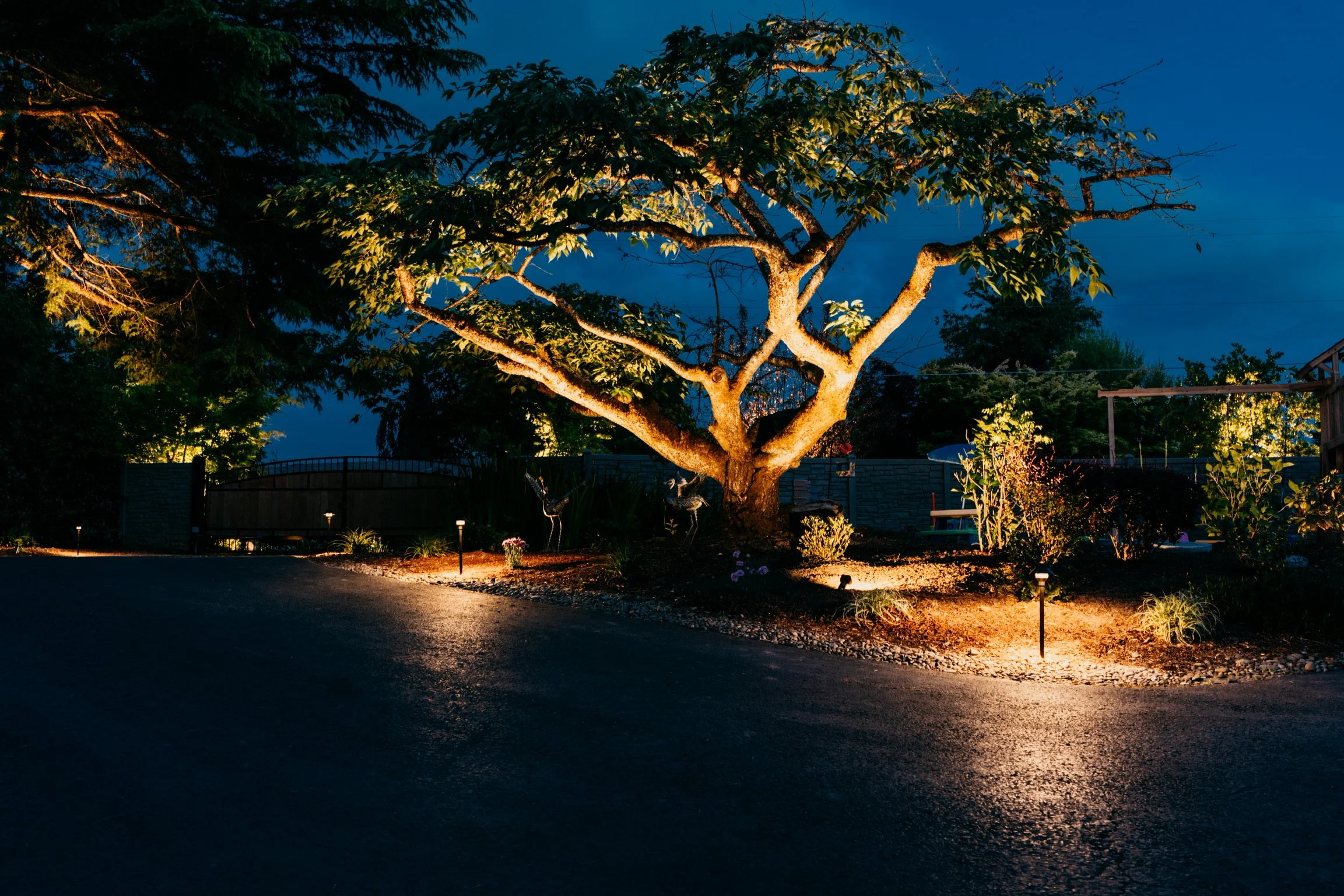 Nighttime view of a landscaped garden with a large tree illuminated by outdoor lighting, surrounded by smaller plants and path lights, along with a wooden fence and driveway.