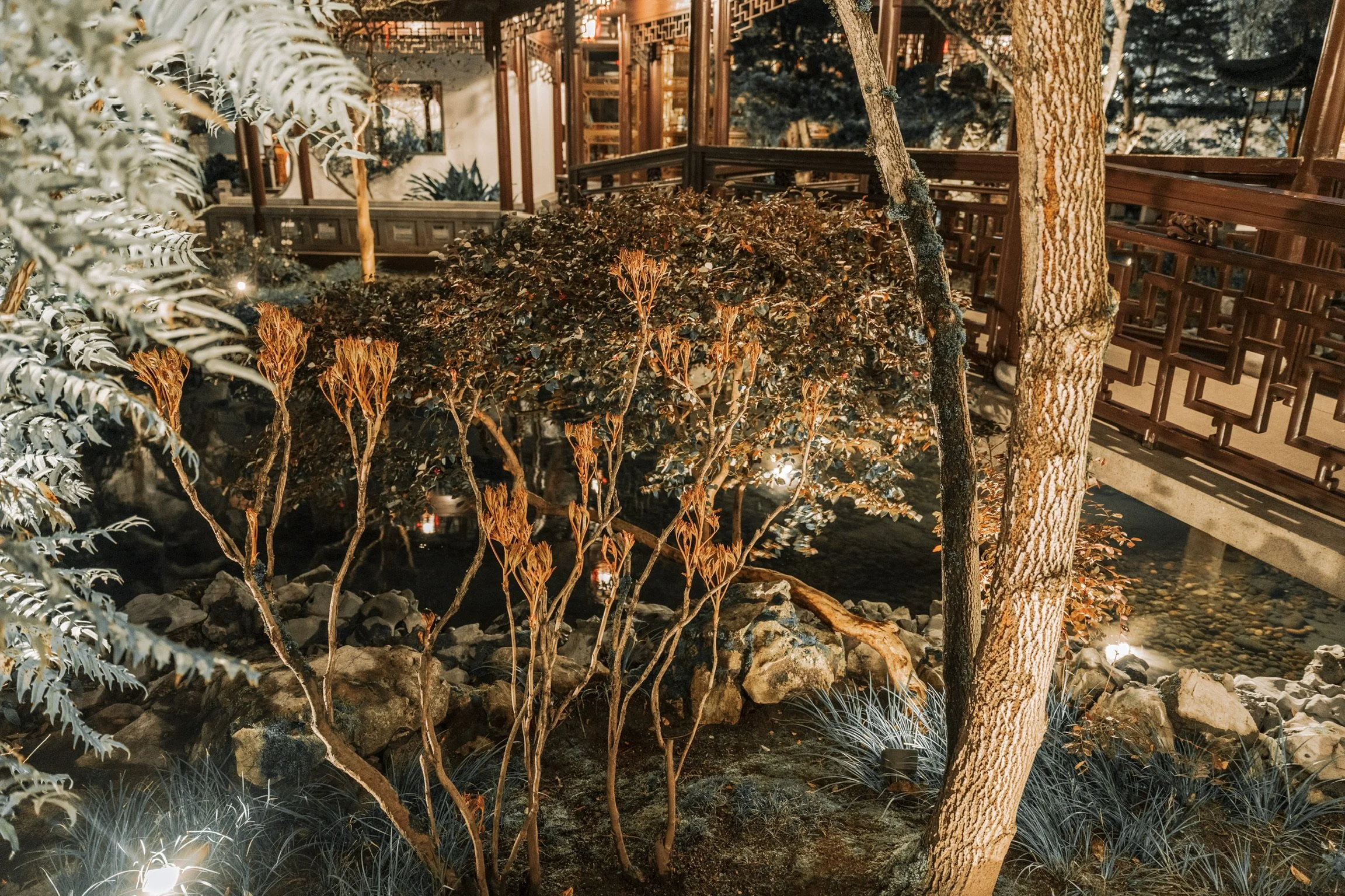 A traditional Chinese garden at night featuring trees, rocks, and plantings illuminated by soft lighting, with a wooden structure in the background.