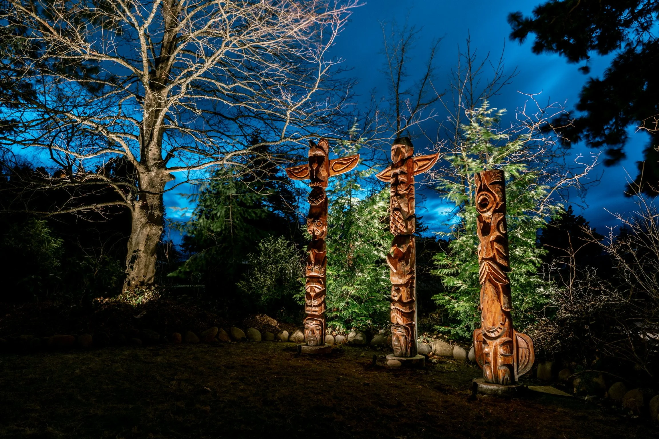 Nighttime scene featuring three tall, carved wooden totem poles illuminated by spotlights, with a large leafless tree and evergreen trees in the background against a dark blue sky.