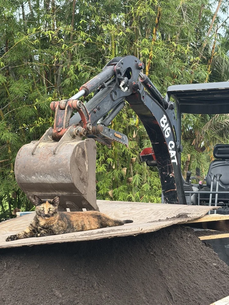 Excavator digging on a residential site