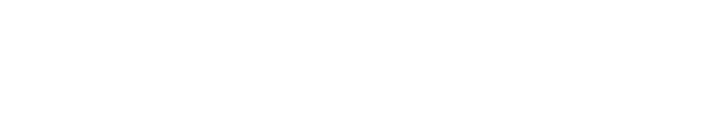 Lymphatix