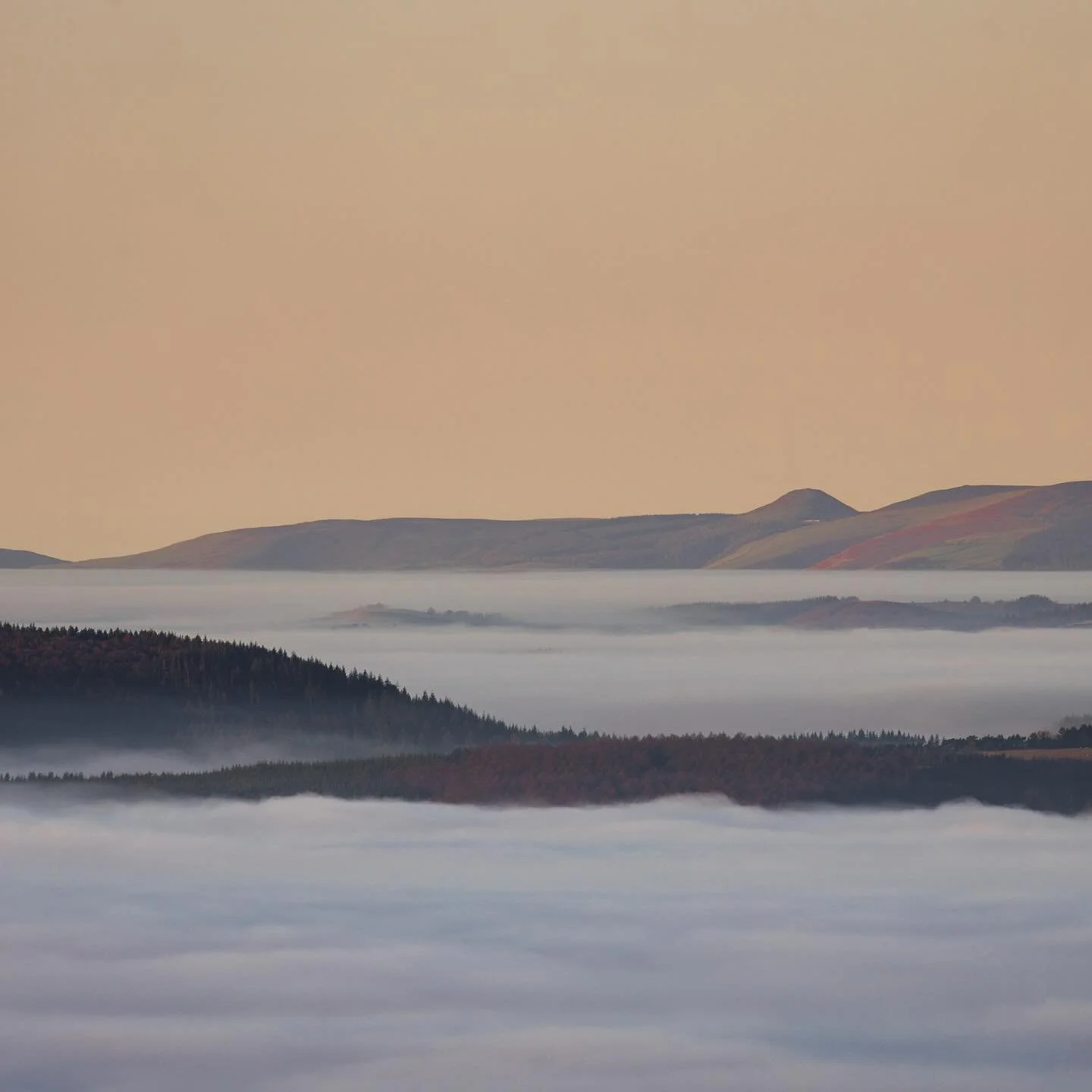 Sunrise this morning above the mist 🌄