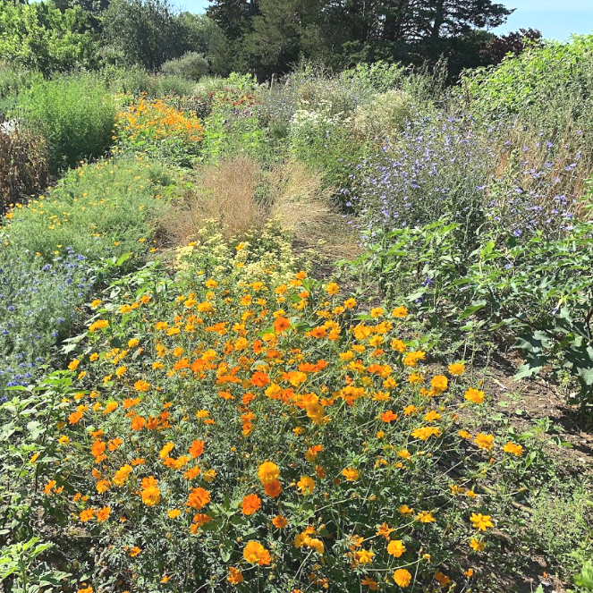 Screenshot 2025-10-17 at 12.56.48 PM.png