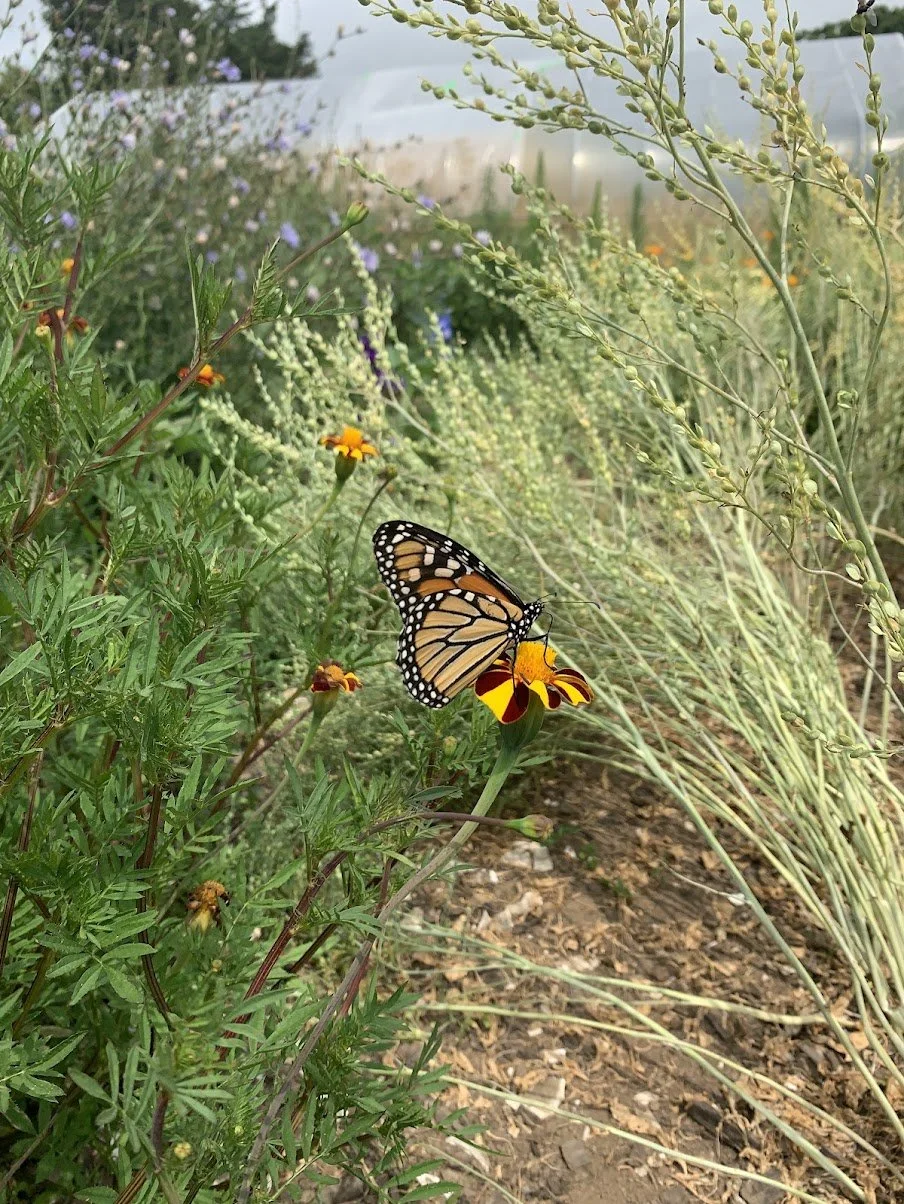 Horticulture Consulting