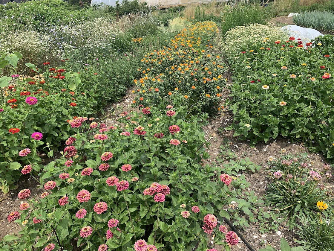 Permaculture Consulting