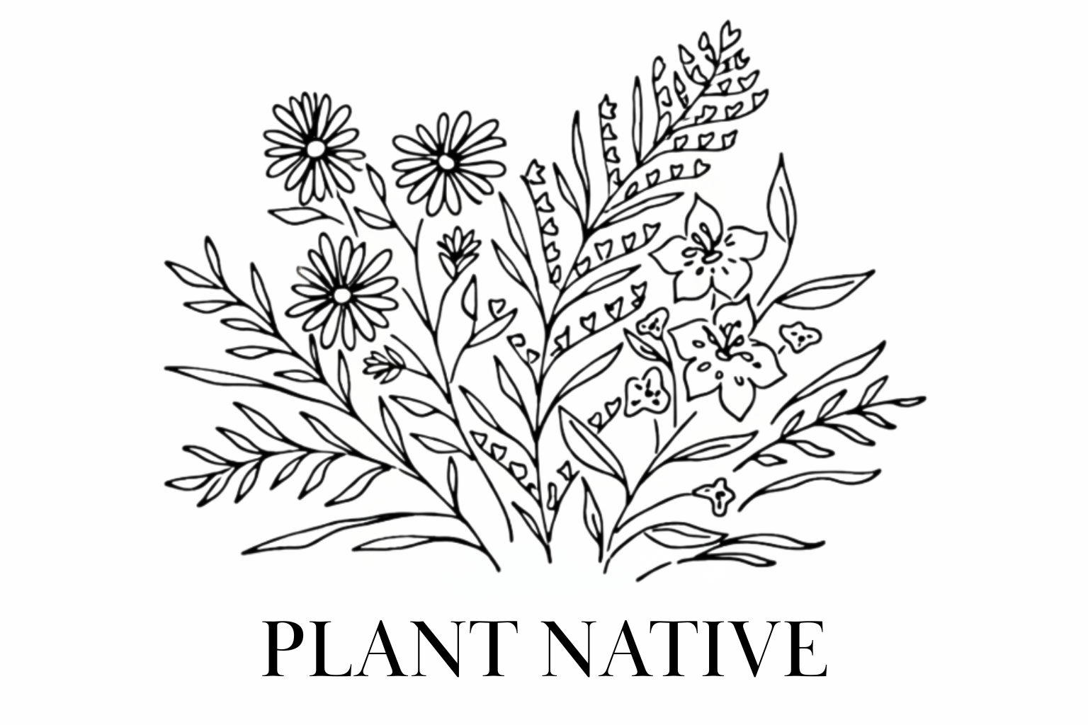 Your paragraph text - 1.png