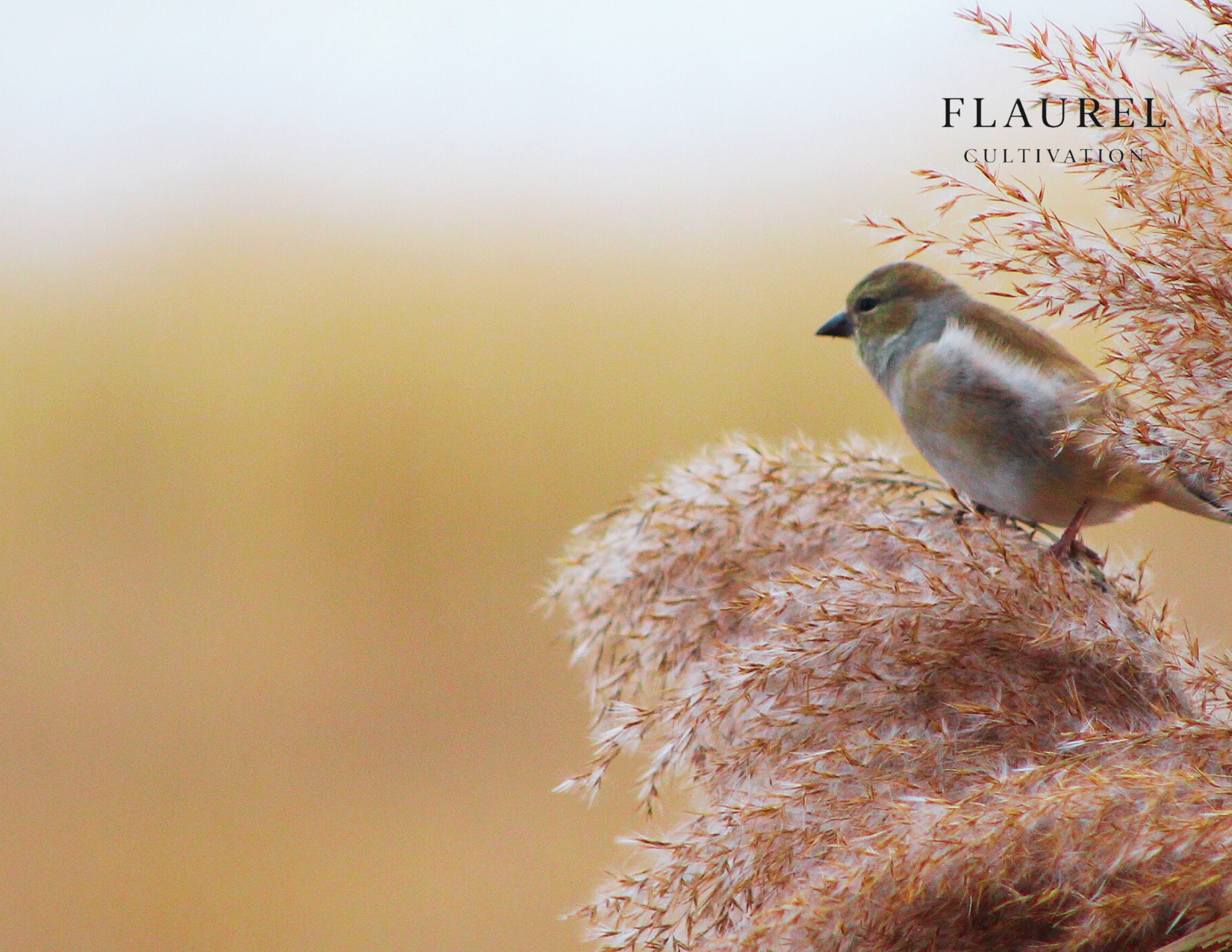 Beige Green Retro Minimalist Postcard - 10.PNG