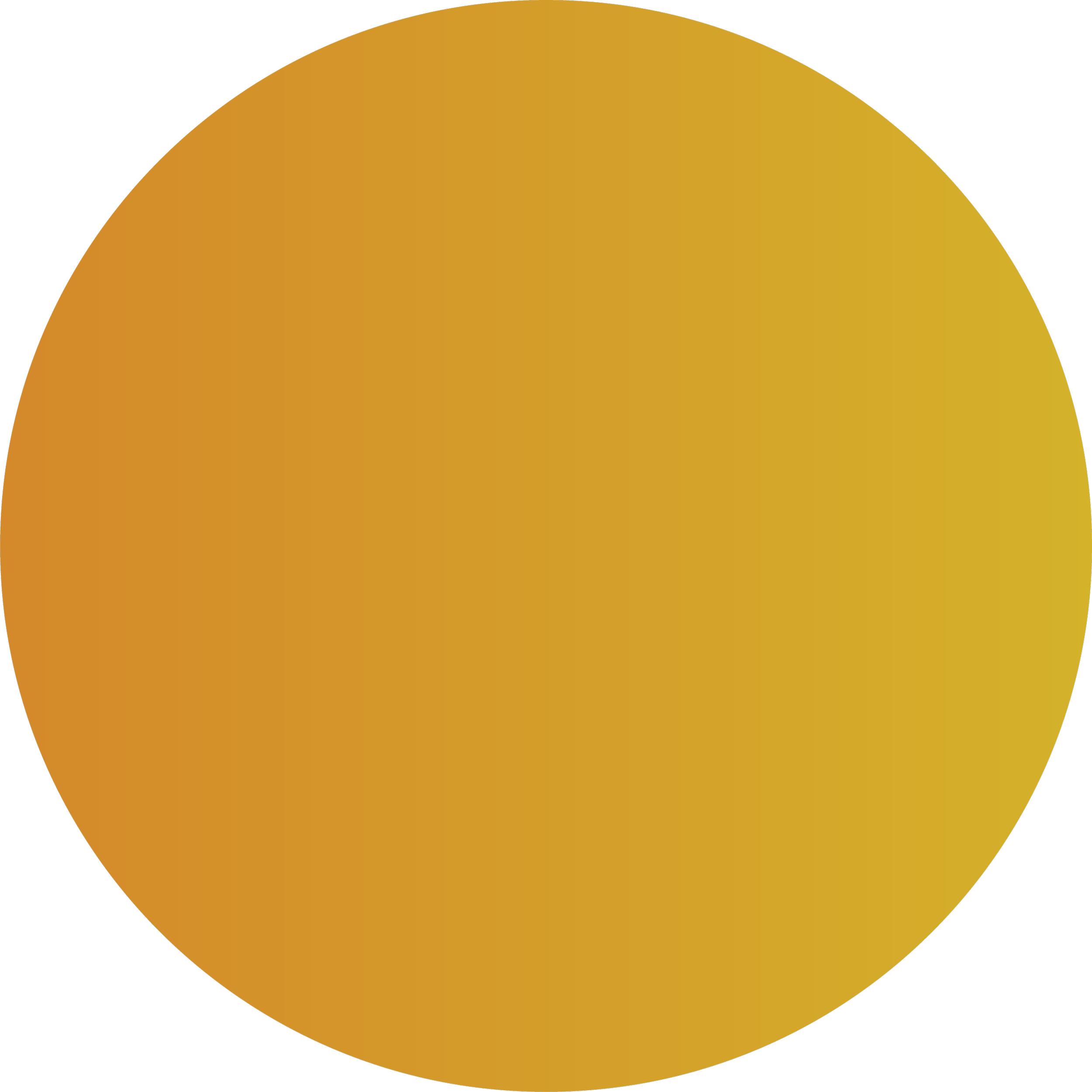 A circle filled with a gradient from dark orange on the left to light yellow on the right, set against a black background.