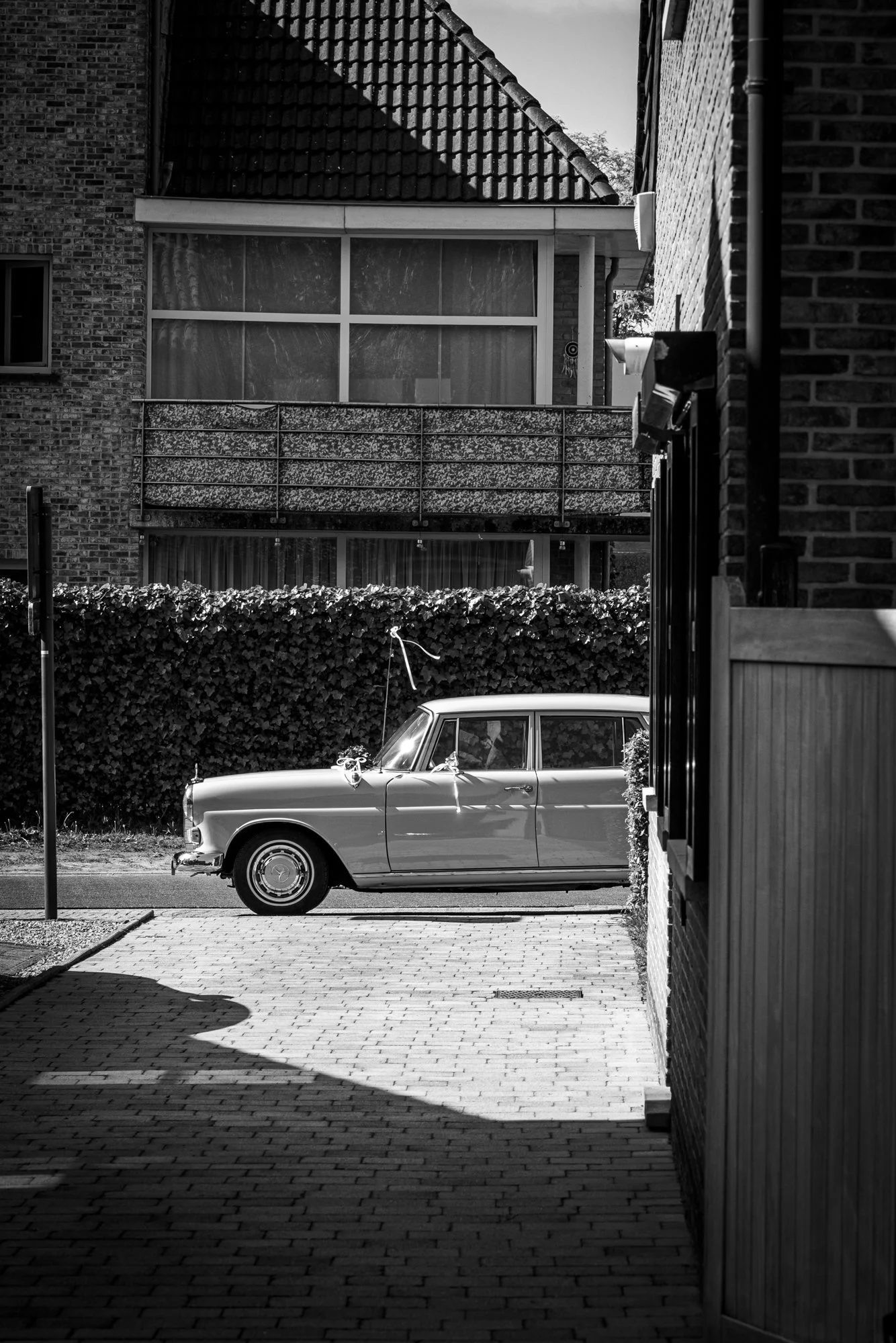 _I6A6239-web-zw.jpg