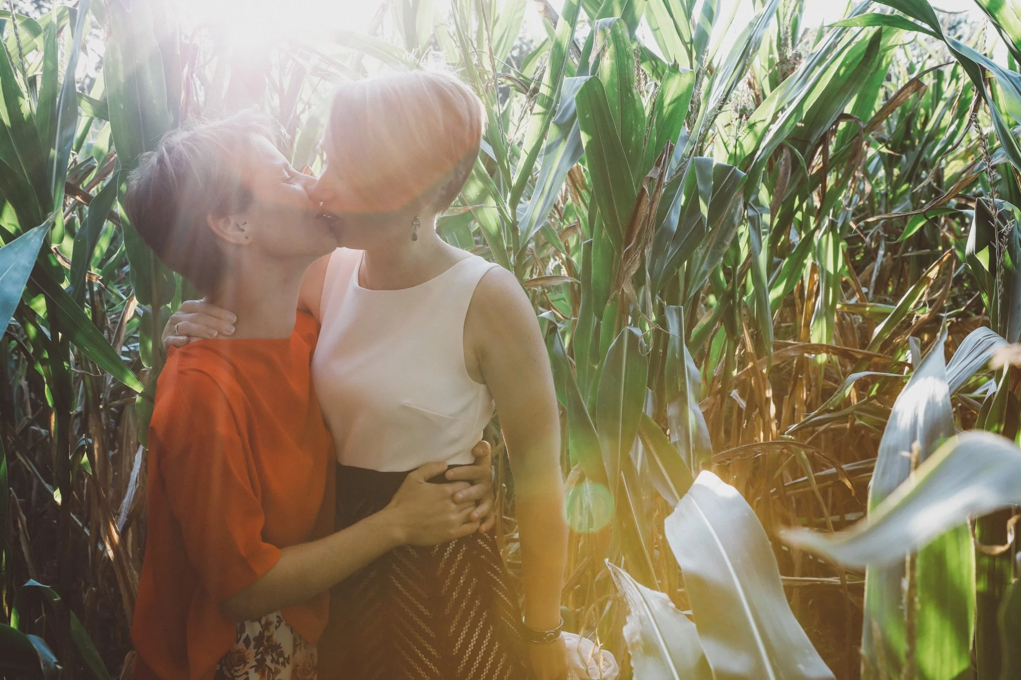 Two women sharing a kiss in a cornfield, with sunlight shining through the plants.