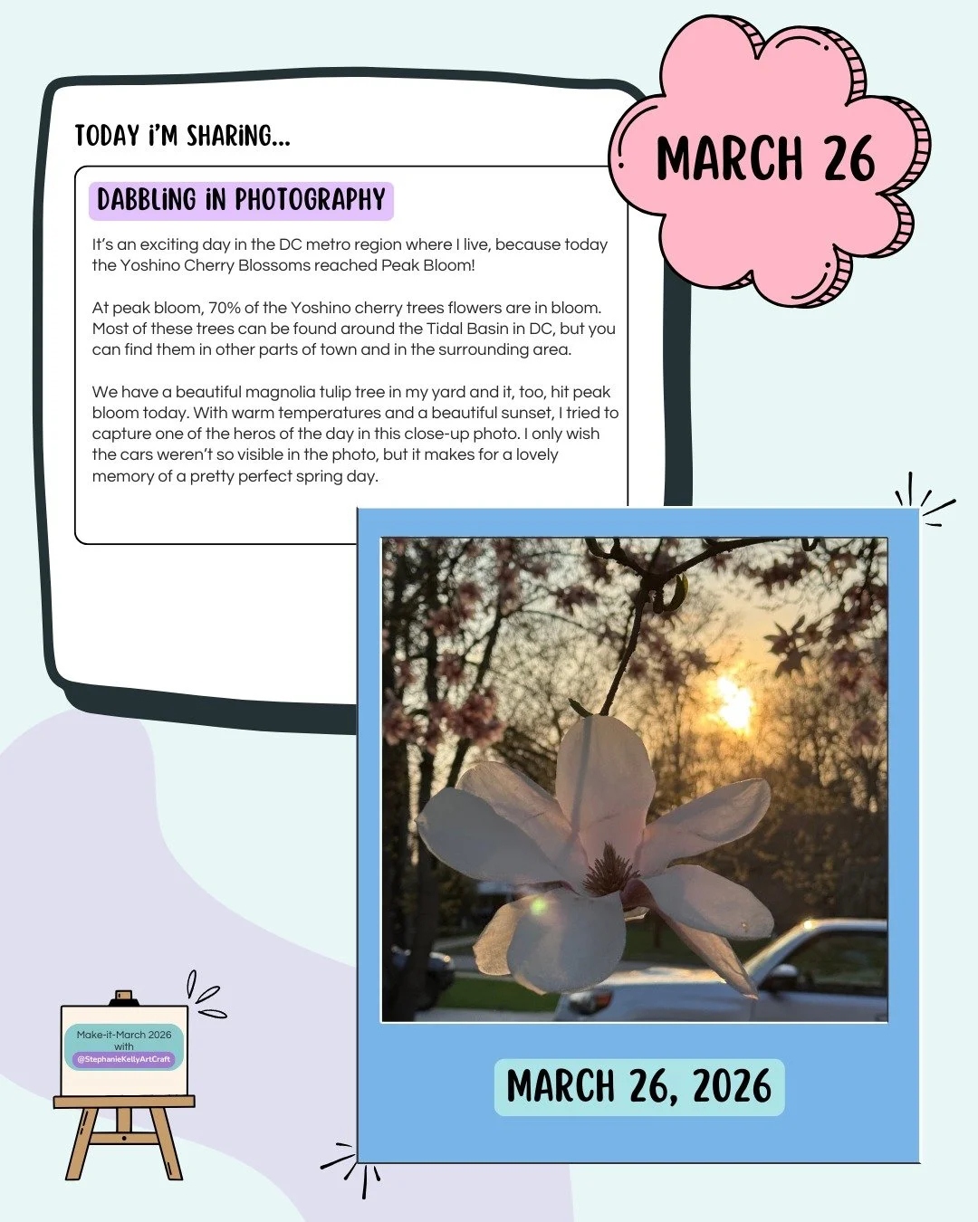 Day 26: Dabbling in Photography 

🌸 PEAK BLOOM! Today was PEAK BLOOM! 🌸 For those who don't live in the DC region, this is when 70% of the Yoshino Cherry Trees have flowered. It is a beautiful sight to behold, and also a Big Deal as it is a true si