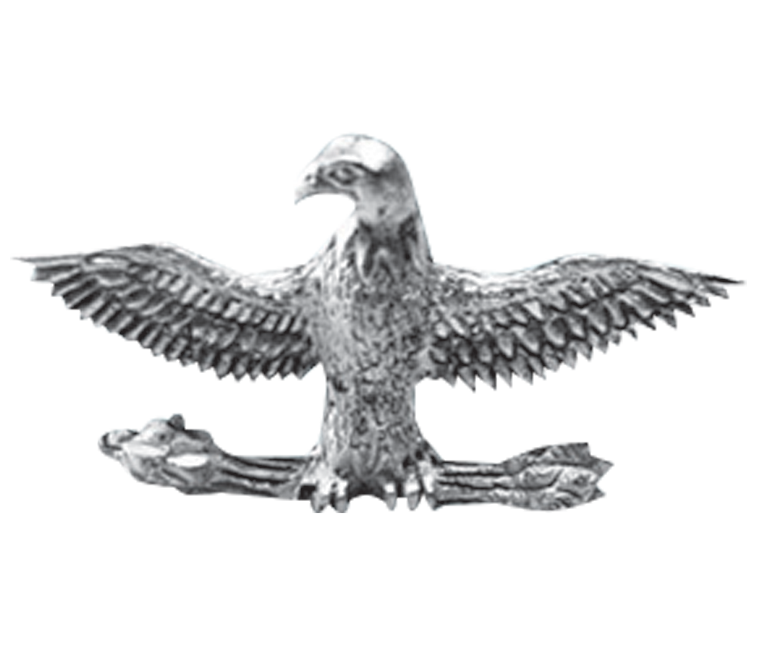Silver emblem of an eagle with outstretched wings, perched on a branch, with a shield at its feet.