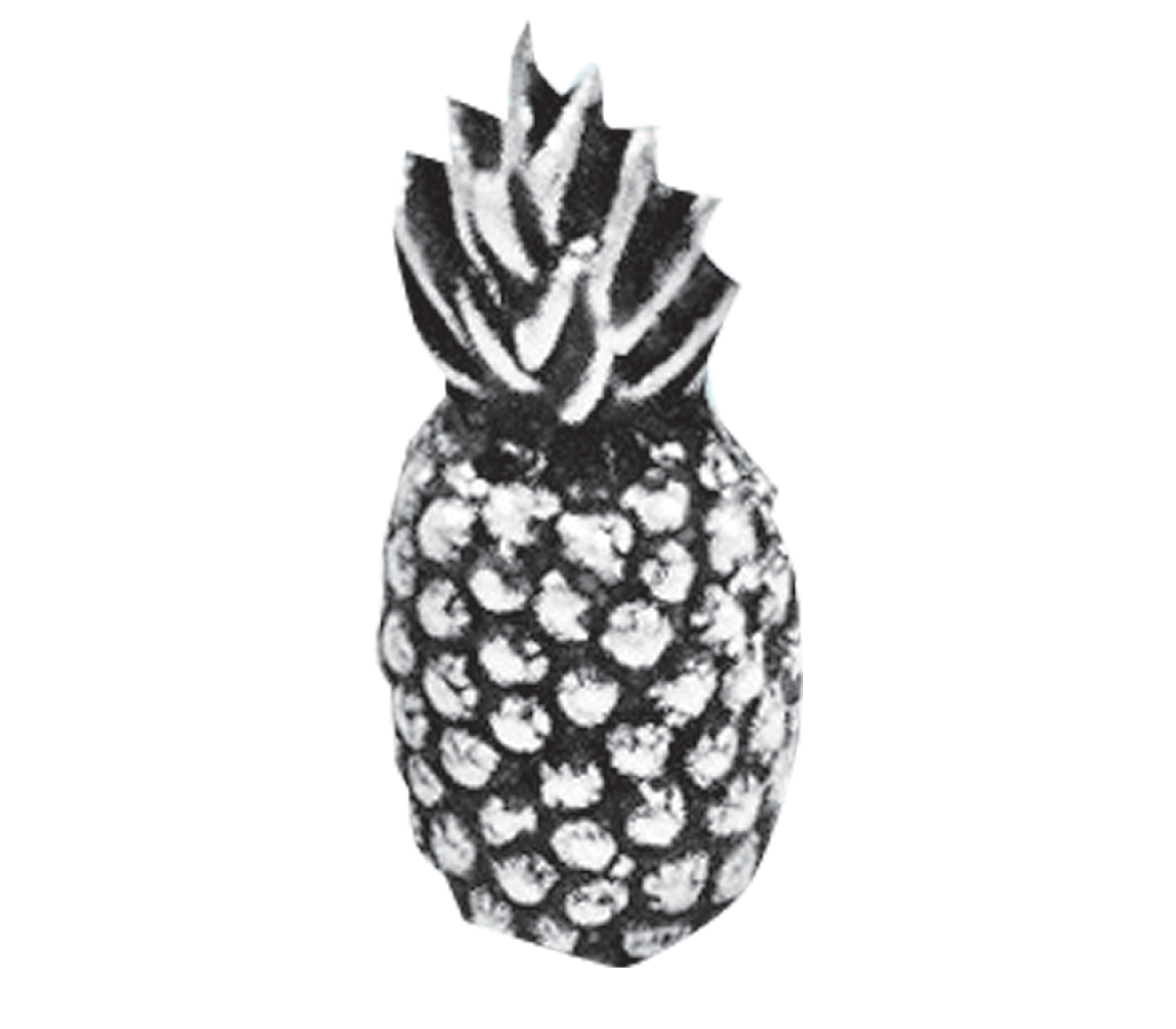 Black and white illustration of a pineapple with stylized, spiky leaves at the top.
