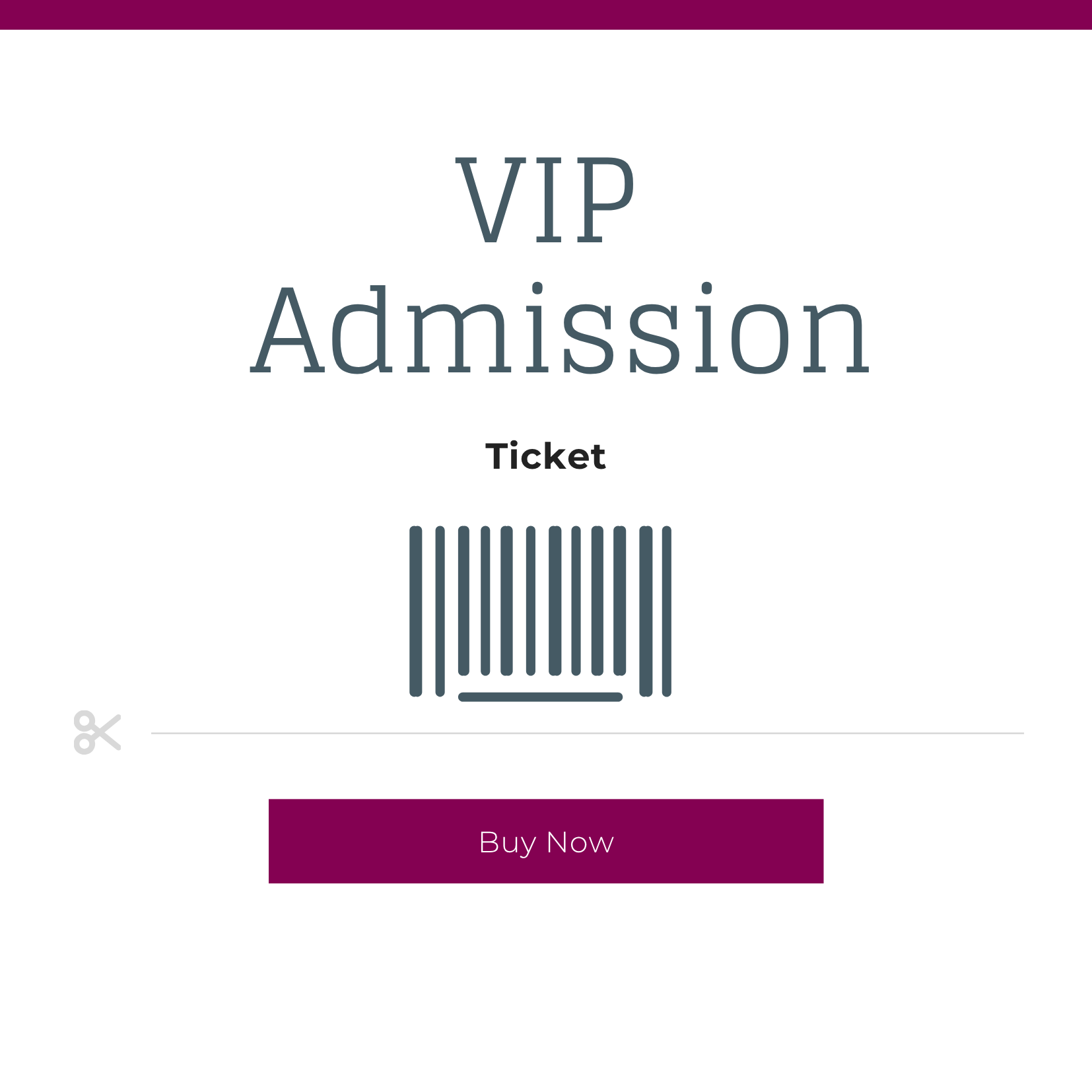 VIP Ticket