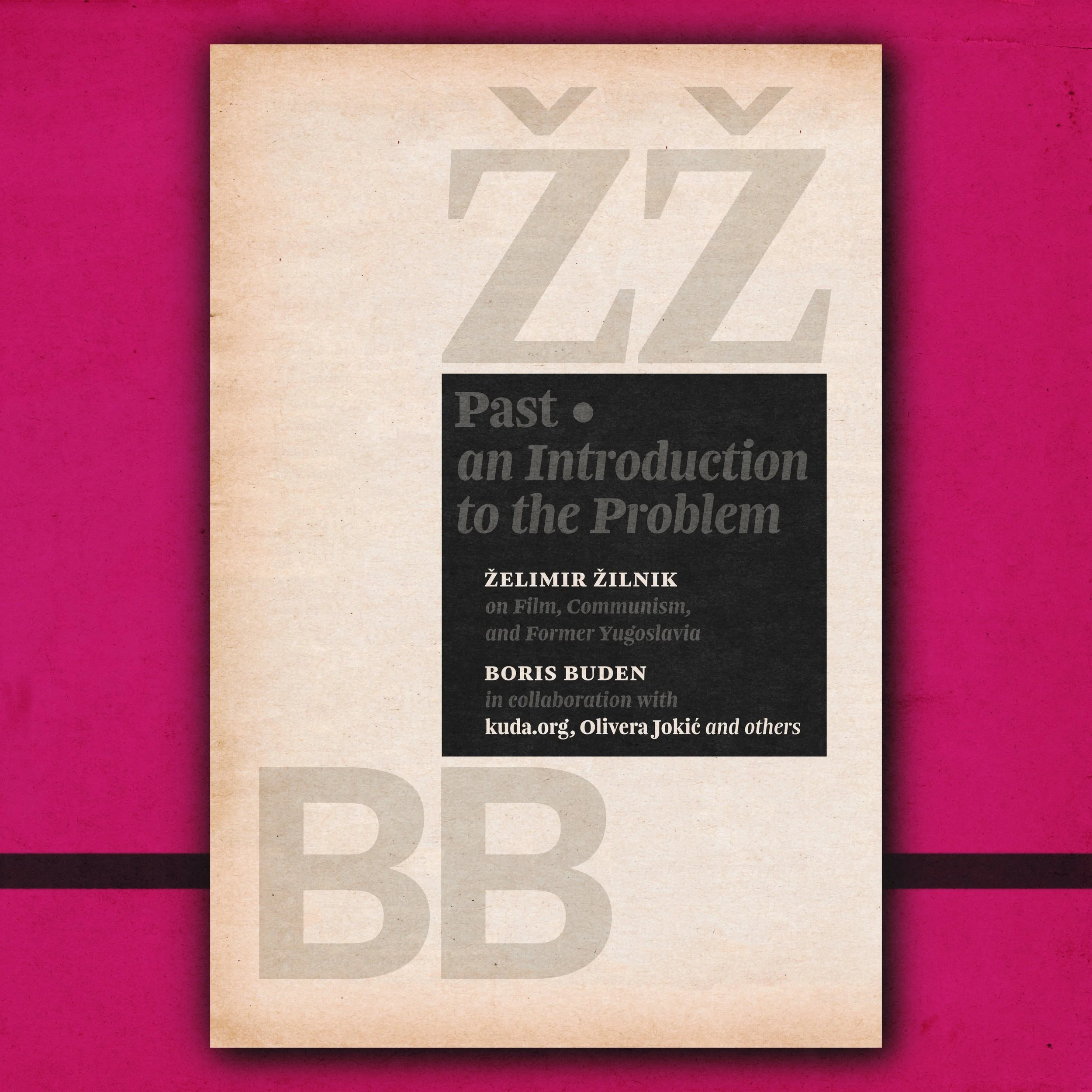 Past: An Introduction to the Problem — Želimir Žilnik