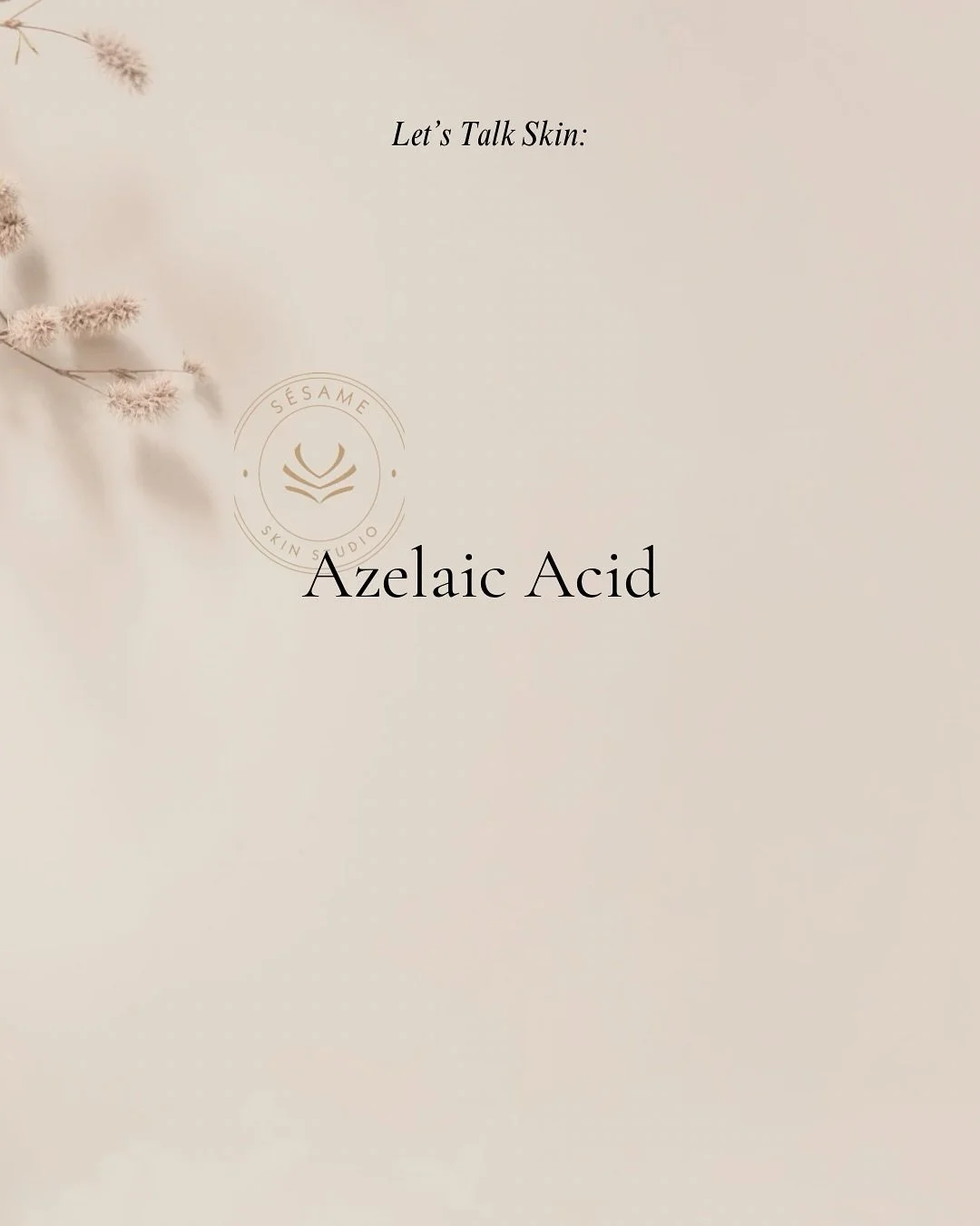 Your skin journey is unique.
If you want help choosing the right ingredients or treatments for your concerns,
my DMs are open &mdash; or book your customized service at Sesame Skin Studio 🤍
Education first, transformation second.

__________________