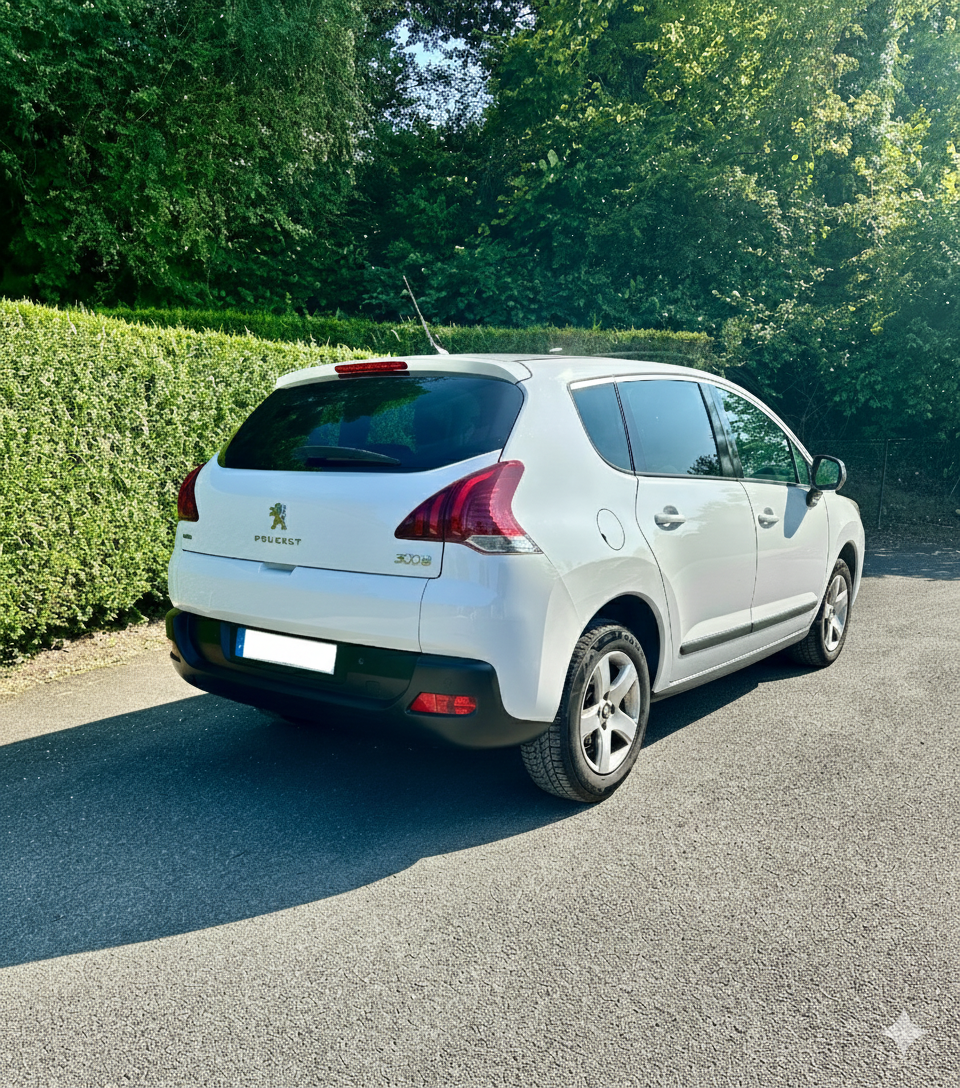 Peugeot 3008 HDI 2.png