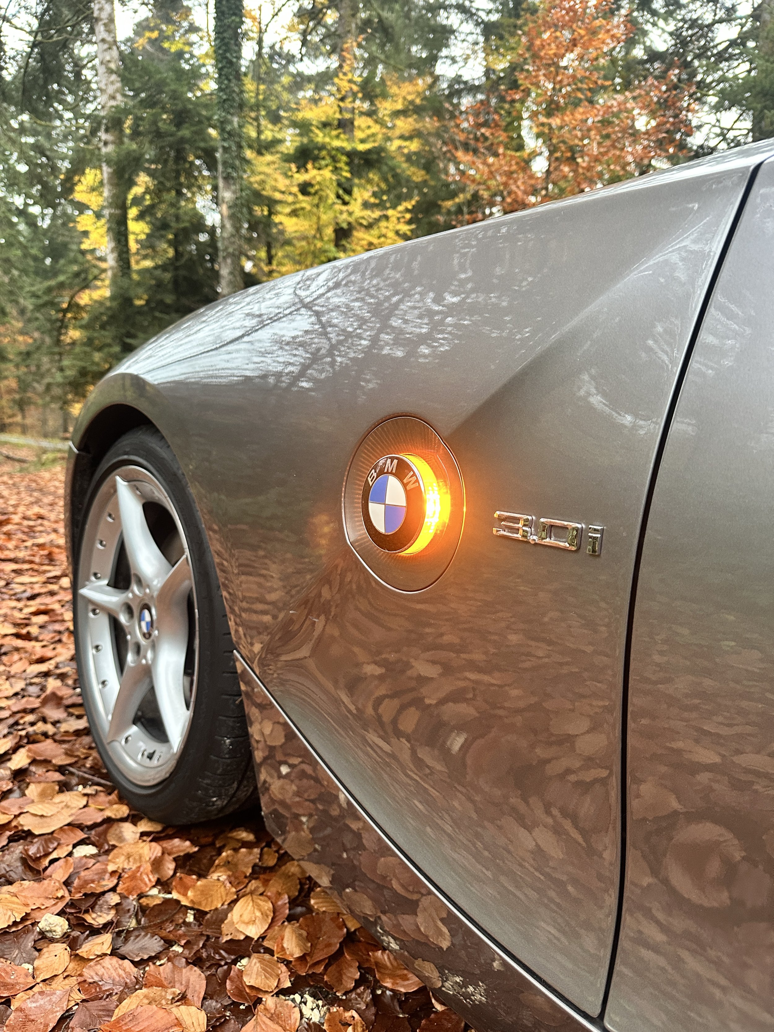 BMW Z4 E85 3.0