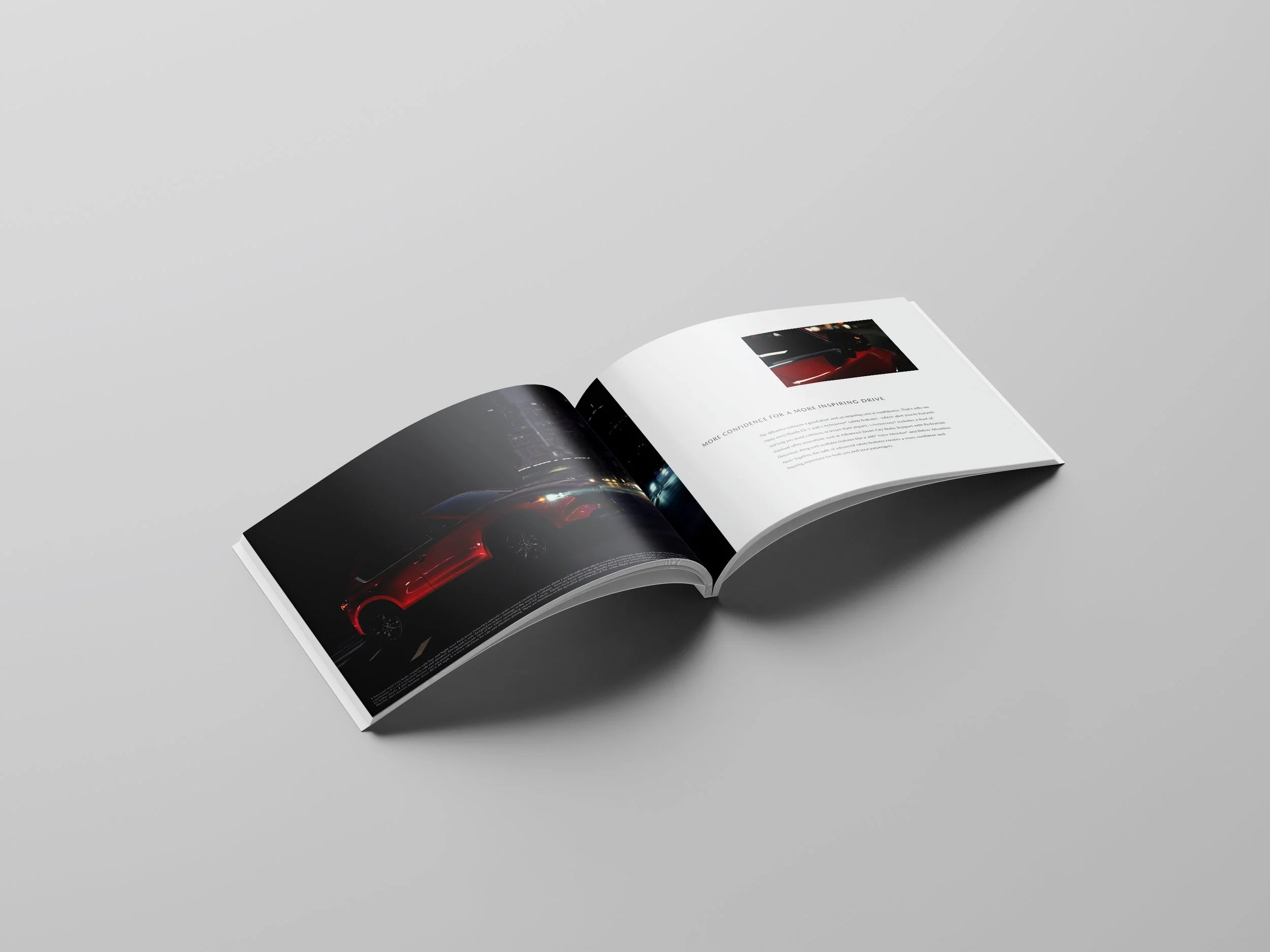 Perfect_Binding_Brochure_Mockup_1 copsdy.jpg