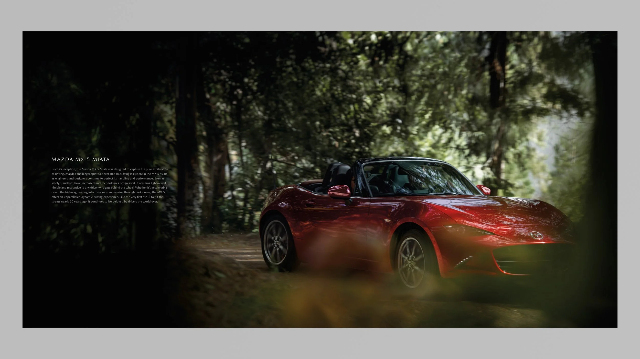 MX-5_Brochure_04.jpg