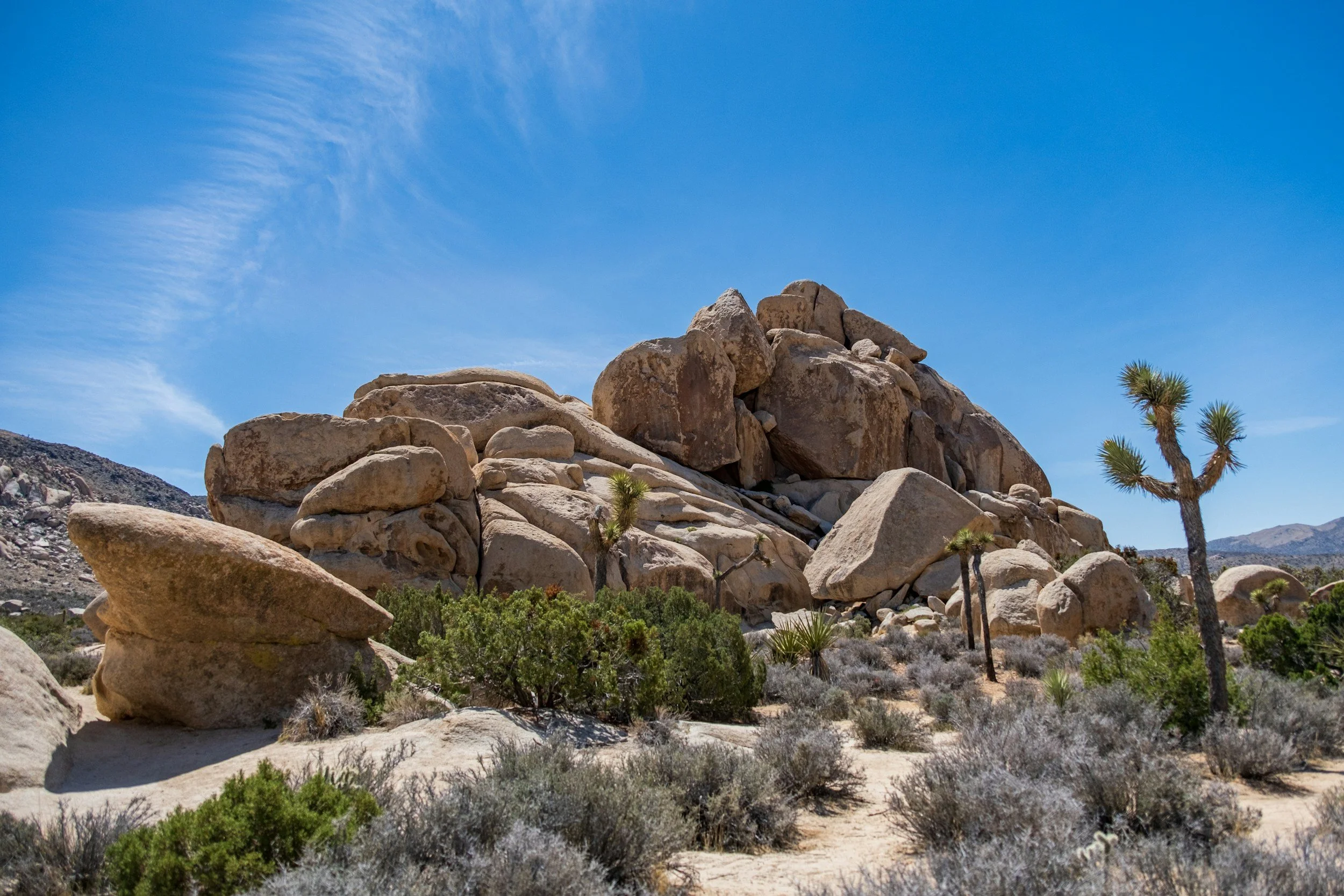 Desert landscape with large rocks, Joshua trees, shrubs, and a clear blue sky.