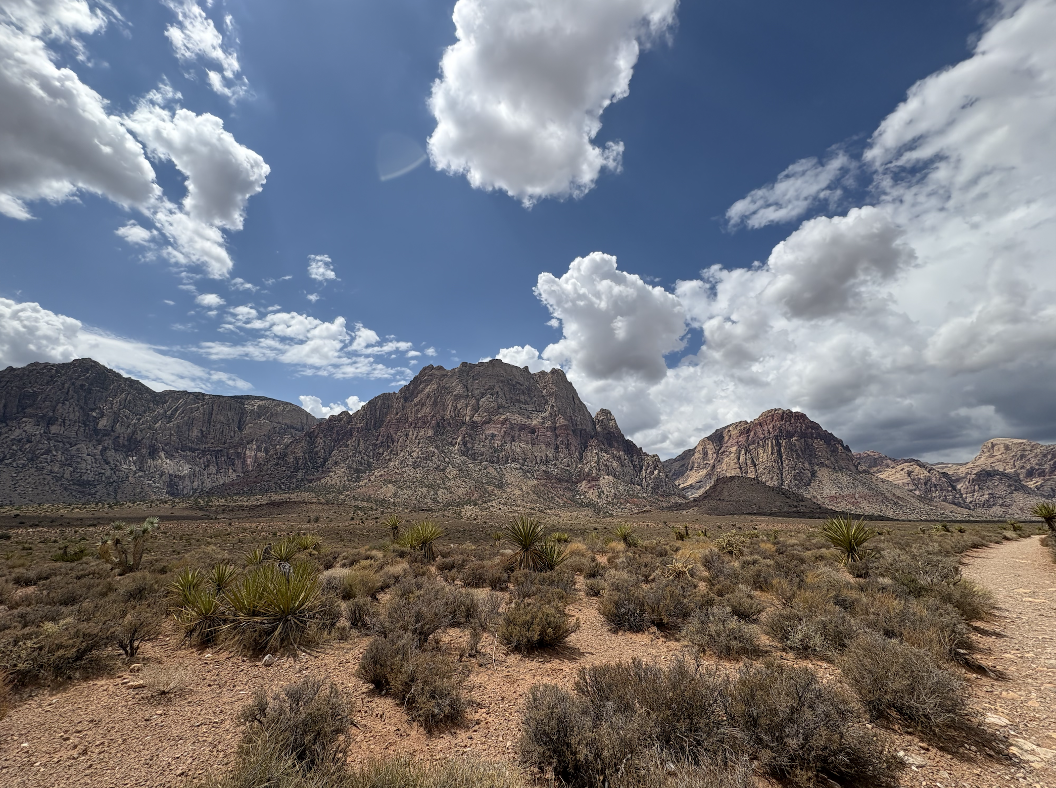 Leadership Development