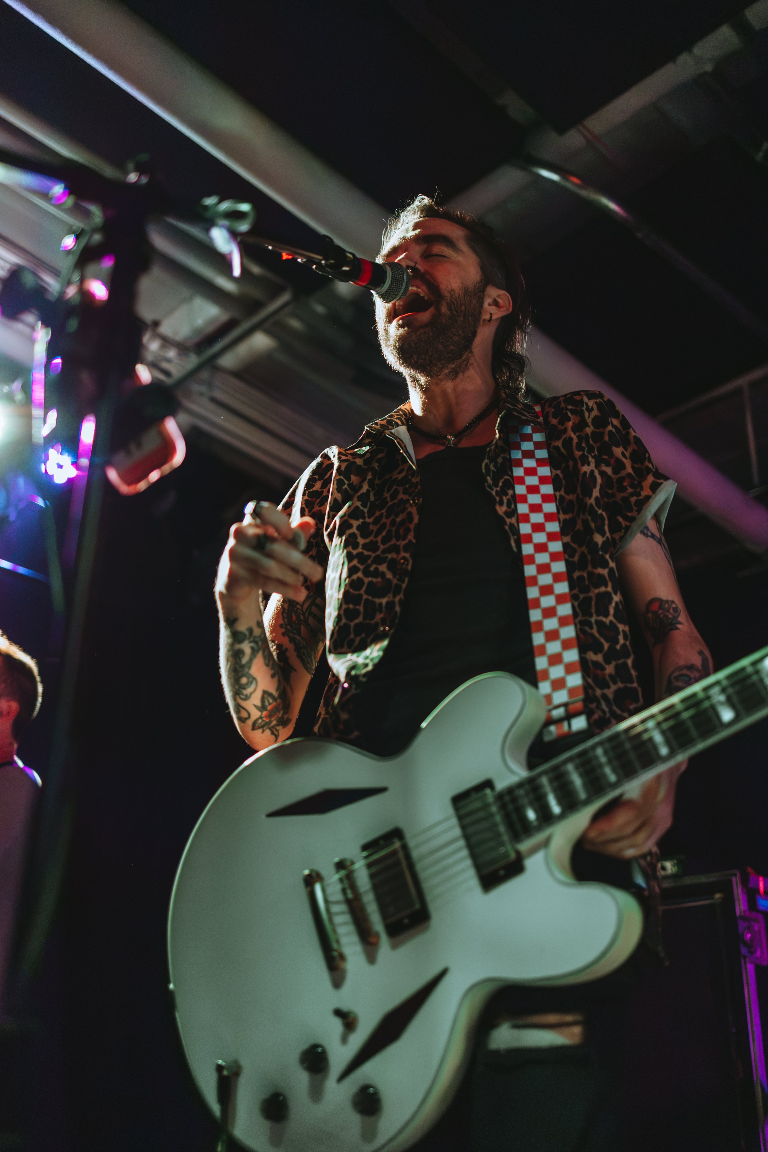Concerts/Shows