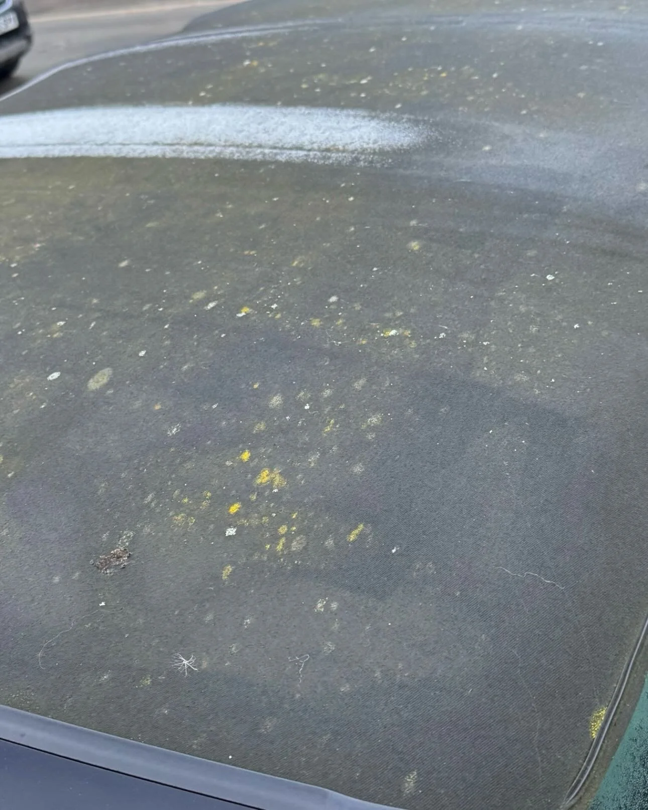 Just a bit of a transformation😅

Convertible roof fully restored and protected with a 12 month water repellent coating 💦

Fabric roofs take a lot of abuse from the elements. Adding protection help repel water, staining, organic growth and extend th