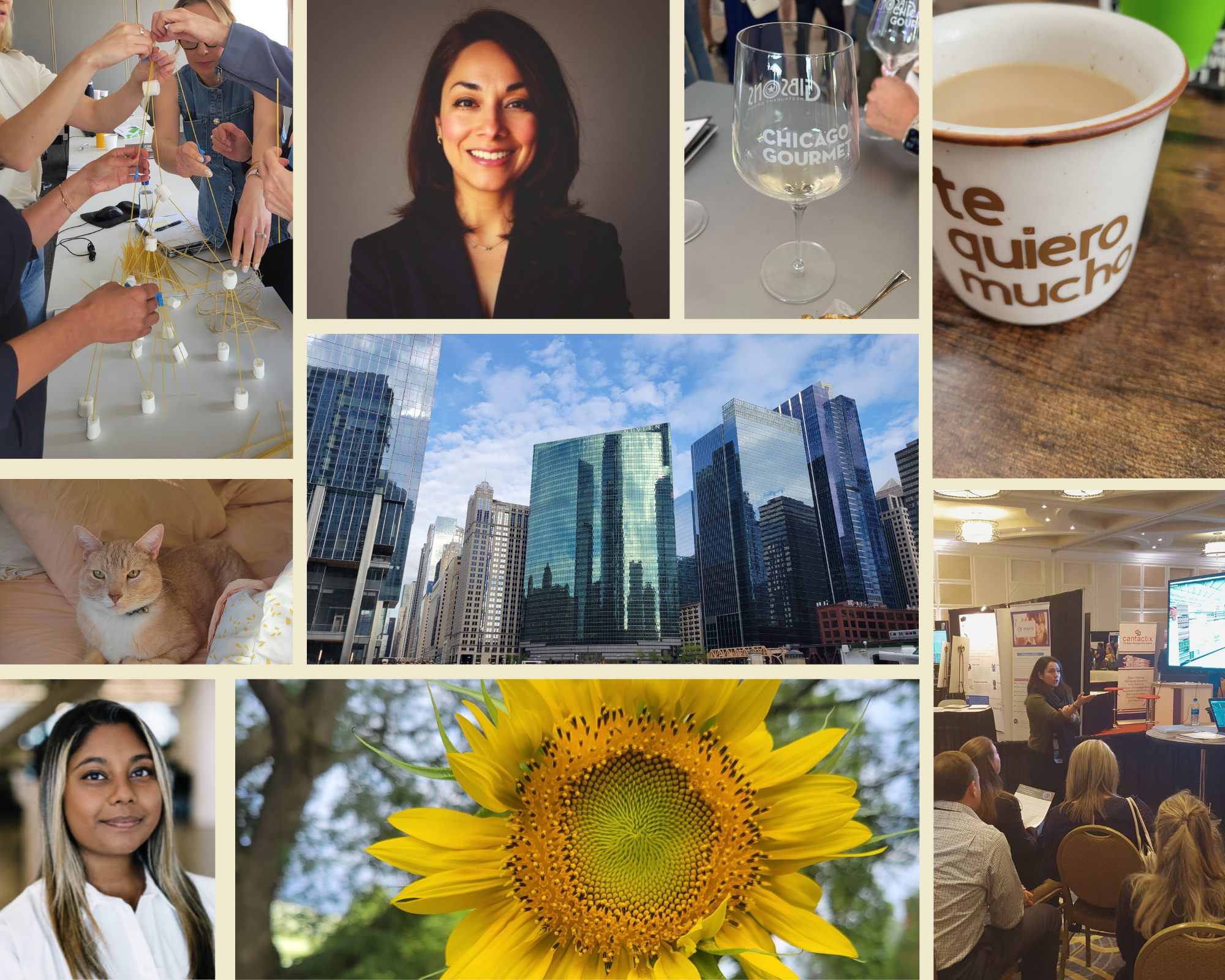 Collage of various images, including people at a conference or event, a smiling woman with dark hair, a glass of white wine with 'Chicago Gourmet' on it, a mug with Spanish text, city skyscrapers, a sunflower, and a woman with glasses at a presentation.