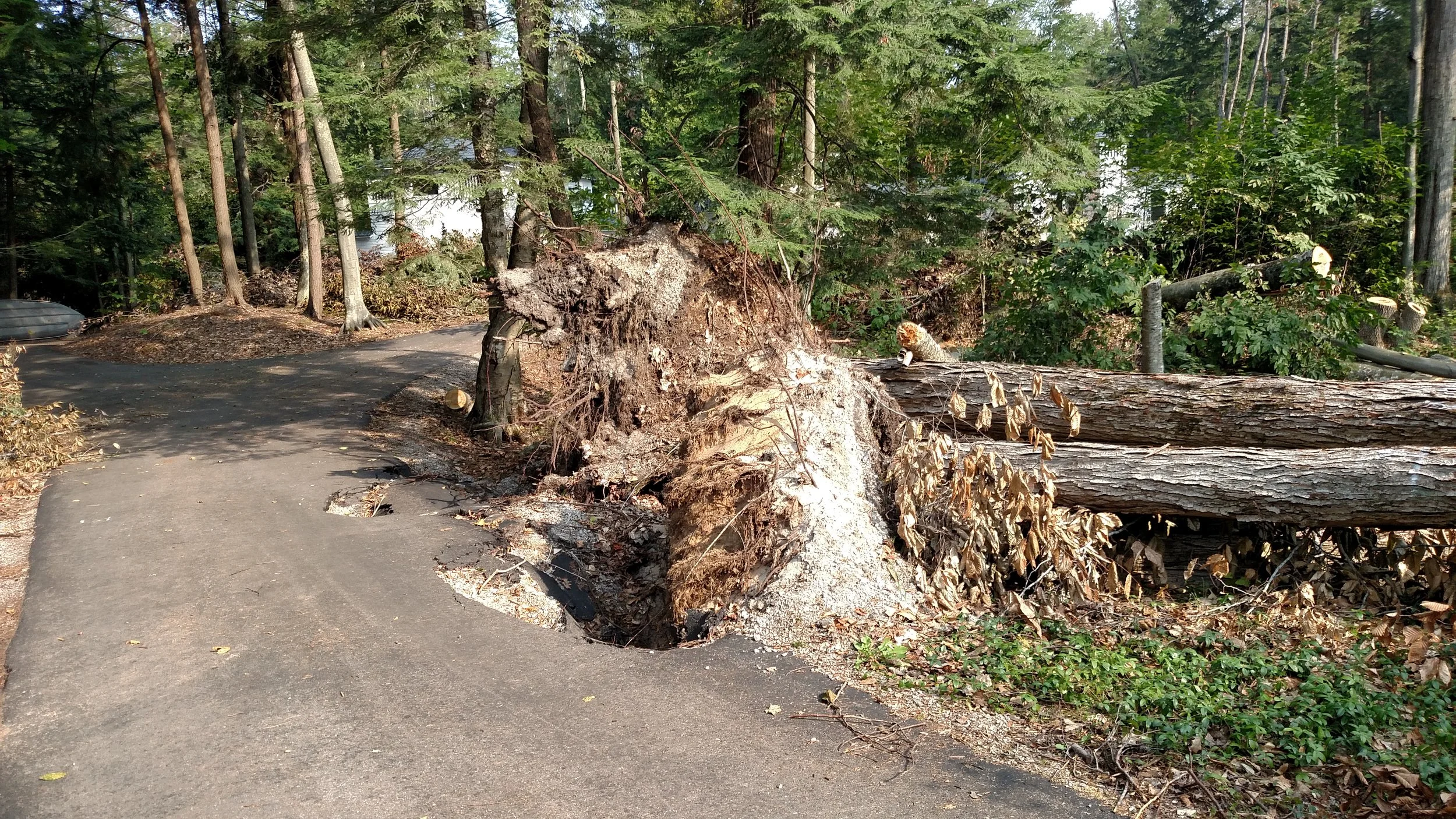 IMG_20150902_103133415 (2).jpg