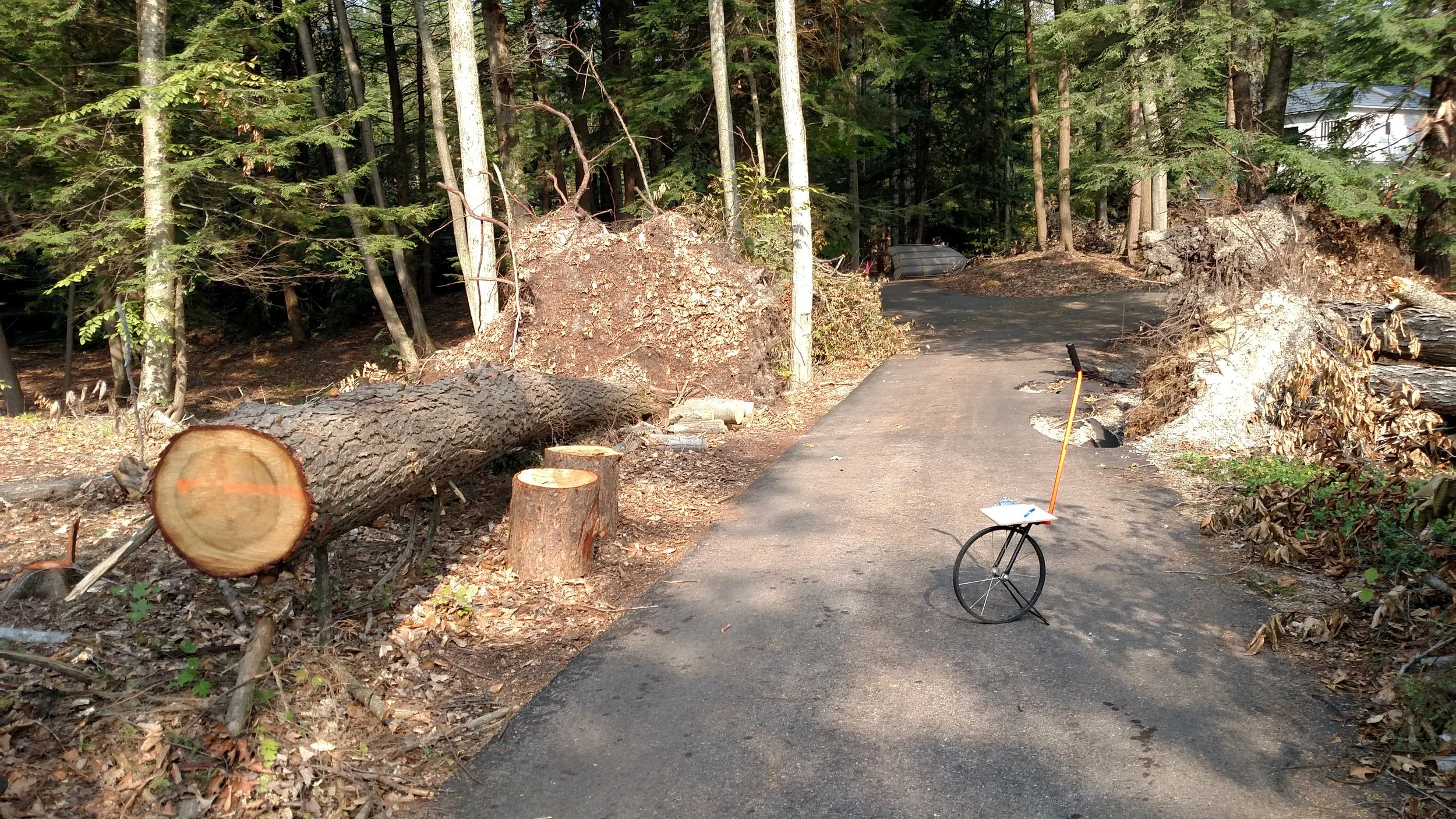 IMG_20150902_103126883 (1).jpg