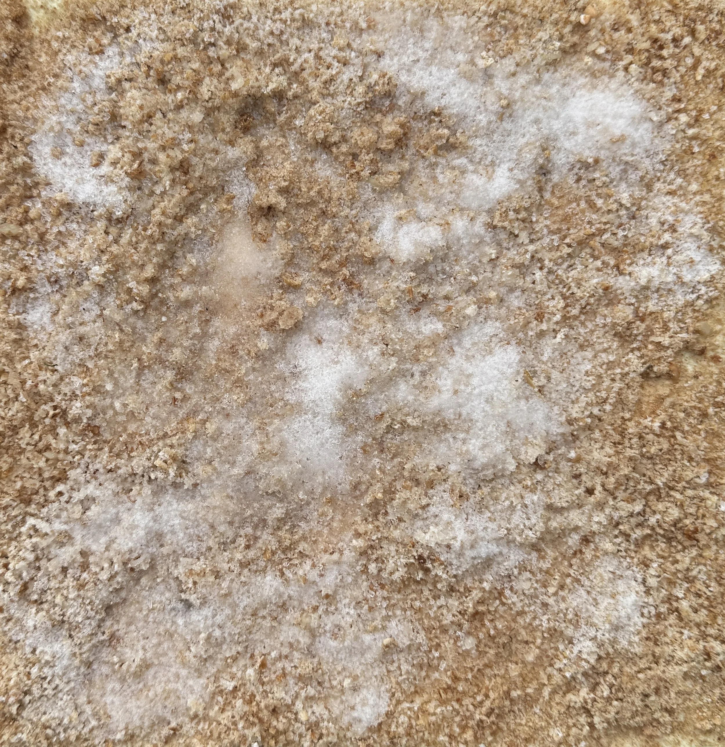 My Bread, My Salt 2025 Medium: Mixed media on canvas Dimensions: 20 × 20 cm