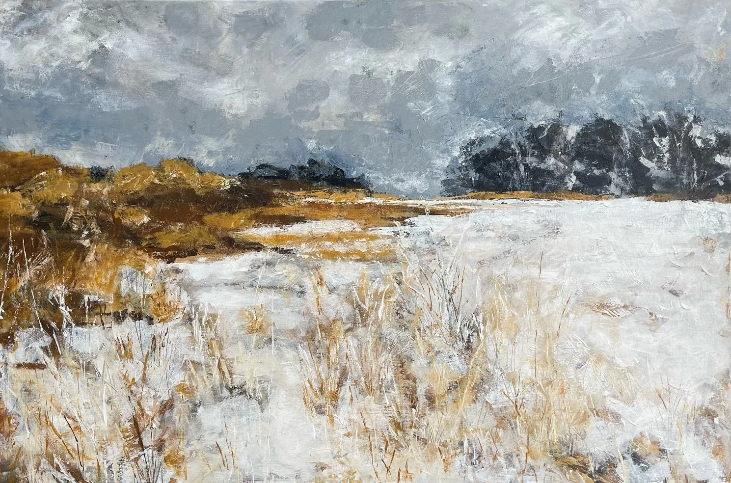 Where Light Sleeps.jpeg