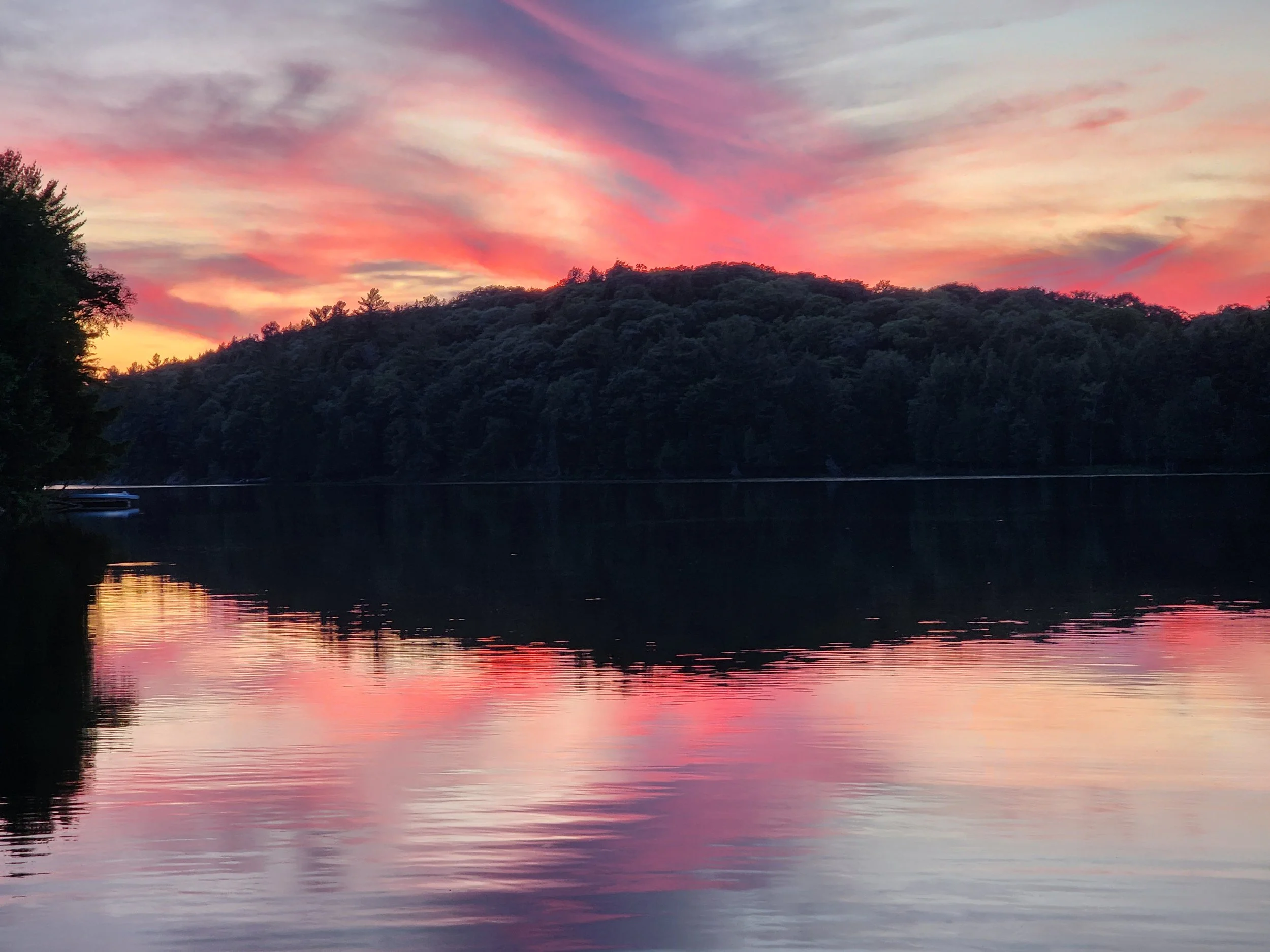 Coming Home to Heart