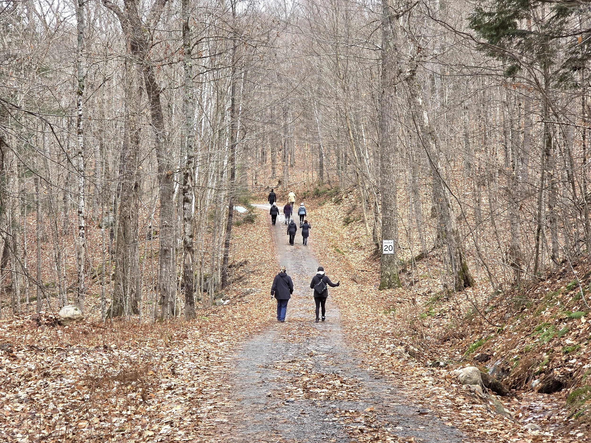 Easy to Walk on Trail on the Property