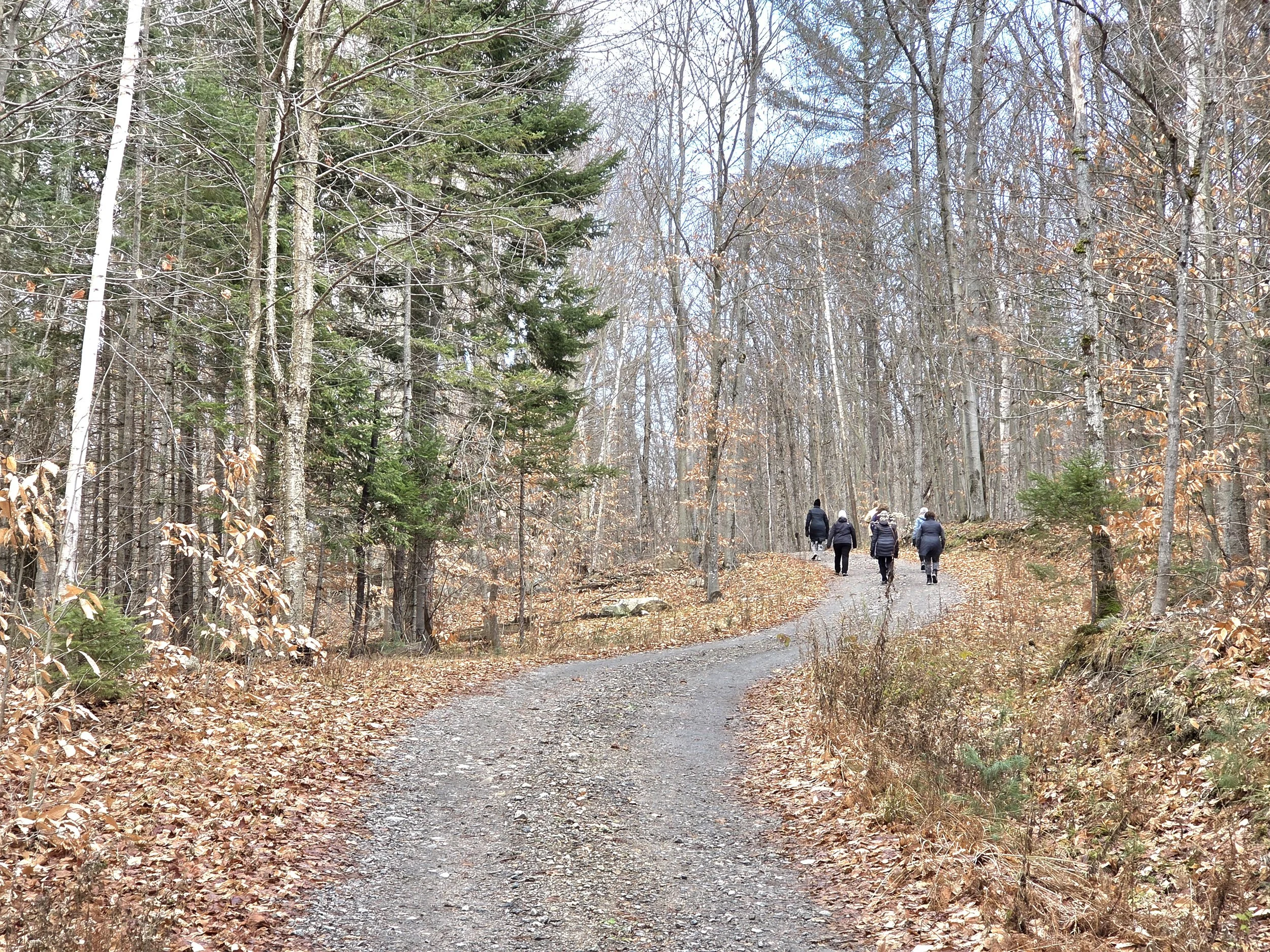 Winding with Up/Down Hill along the Trail