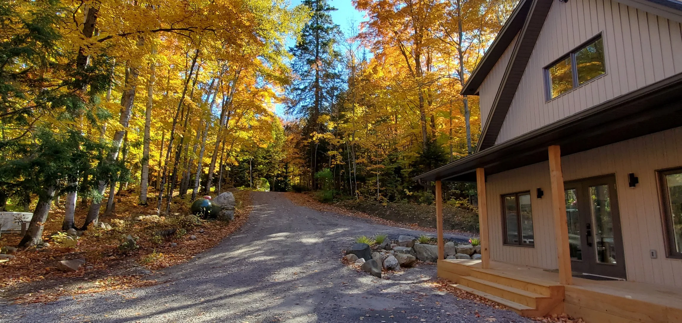 Driveway to the property
