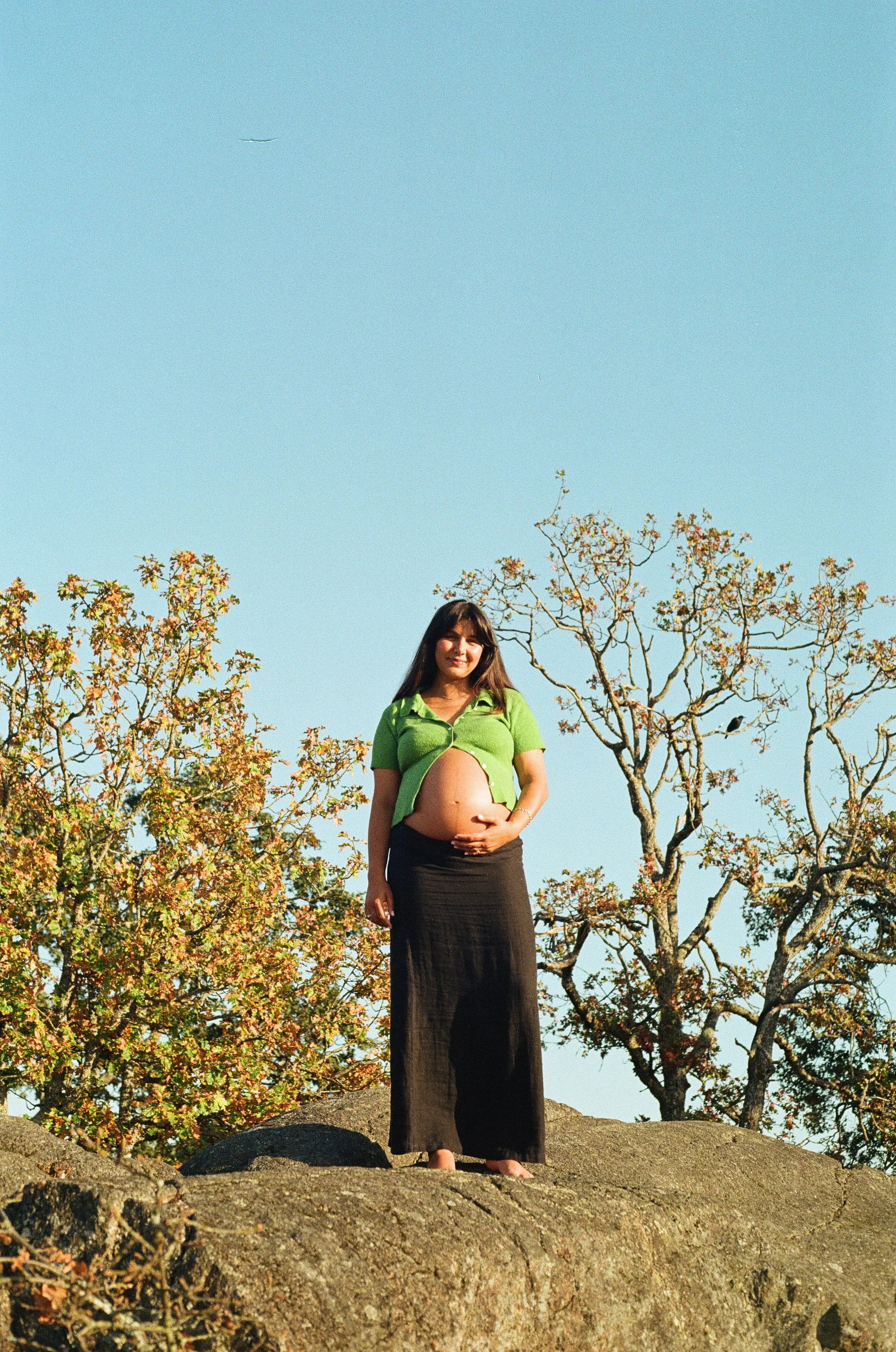 0031_6A.jpg