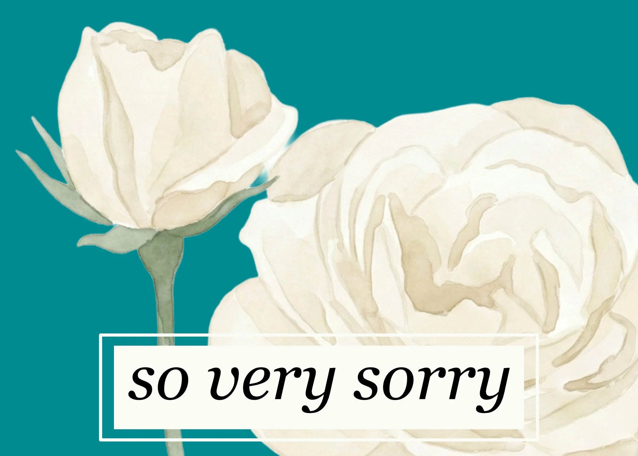 GC-SY-112-so-very-sorry.jpg