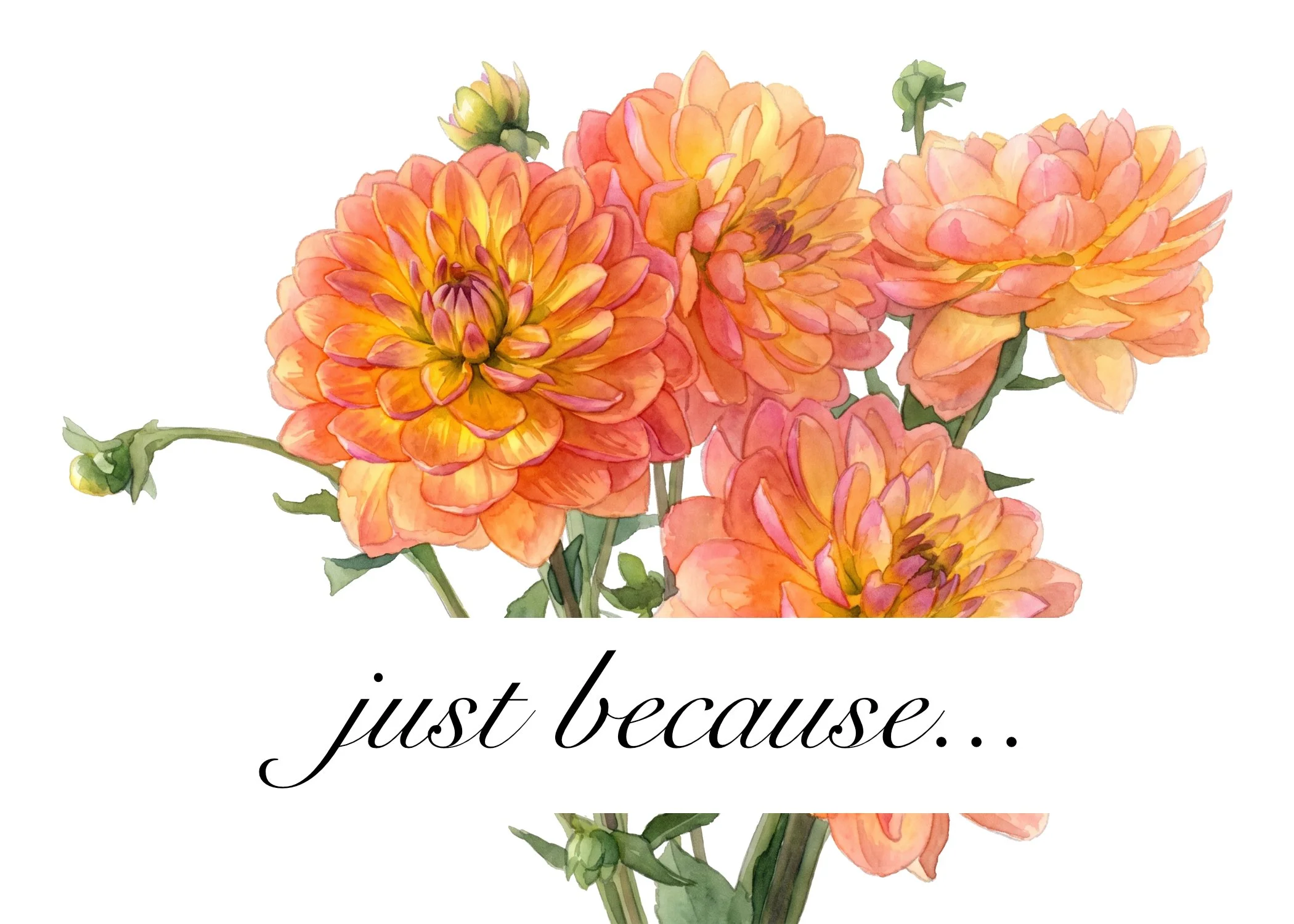 GC-TO-112-justbecause-dahlias.jpg