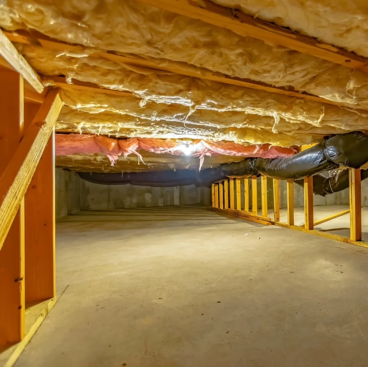 Underfloor/Crawlspace Inspection