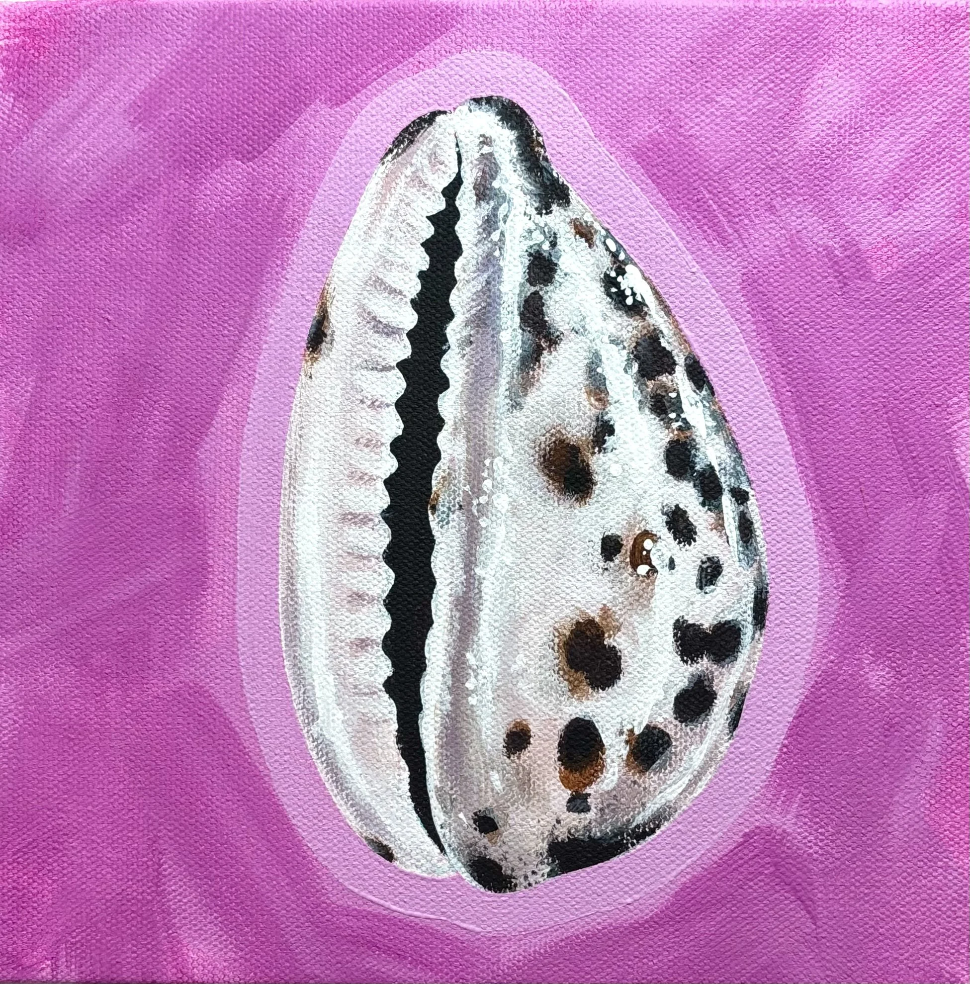 Tiger Cowrie